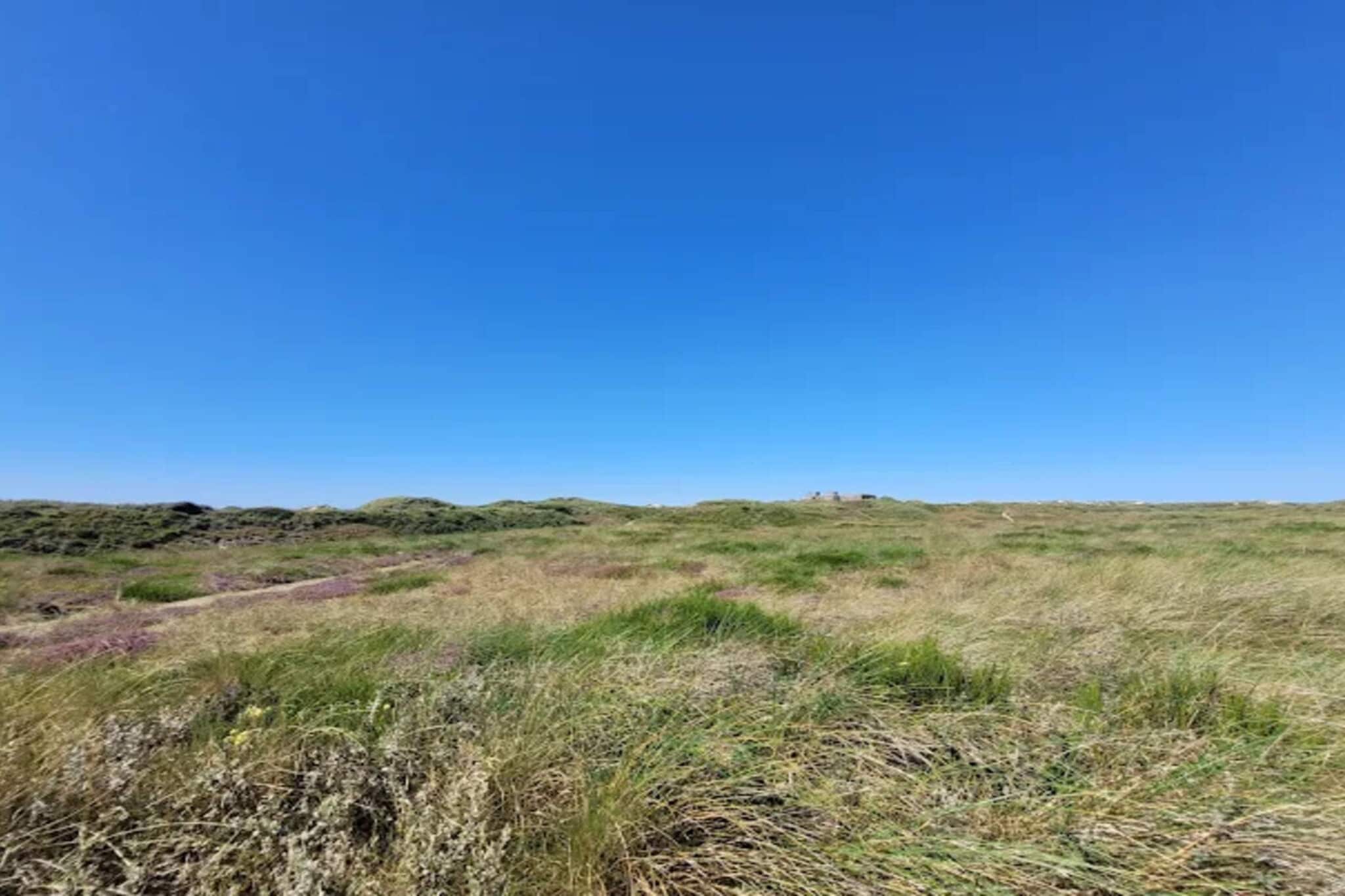 10 persoons vakantie huis in Blåvand-Niet-getagd