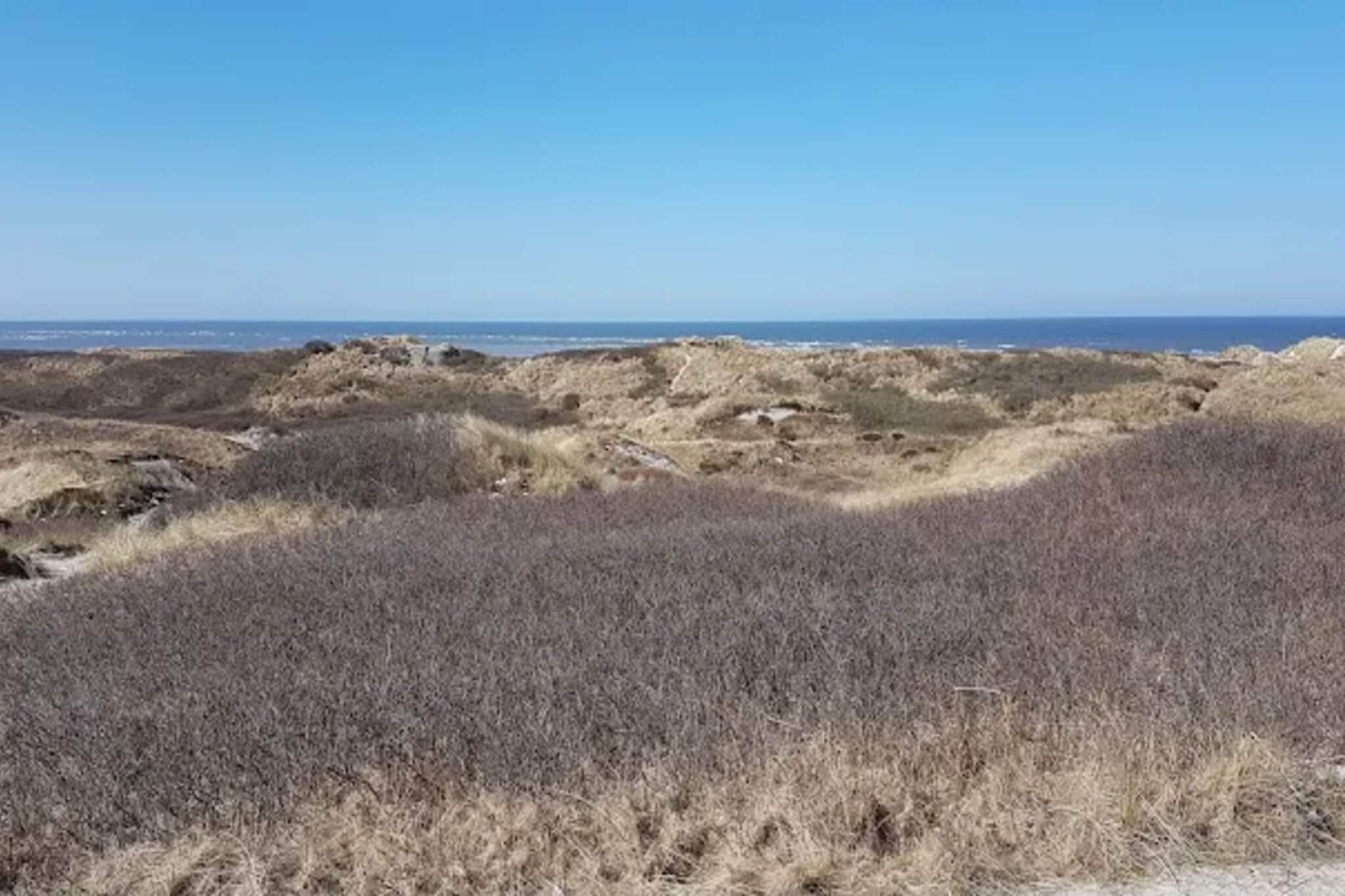 10 persoons vakantie huis in Blåvand-Niet-getagd