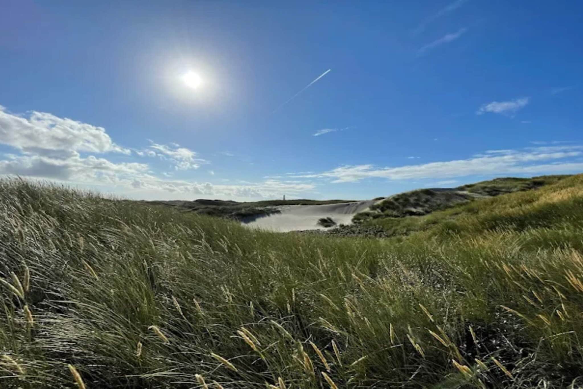 10 persoons vakantie huis in Blåvand