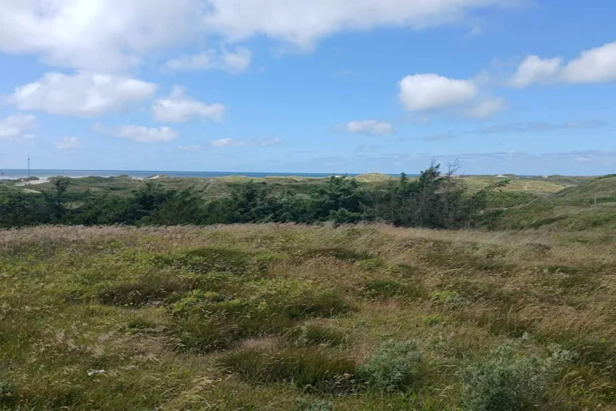 10 persoons vakantie huis in Blåvand - Niet-getagd