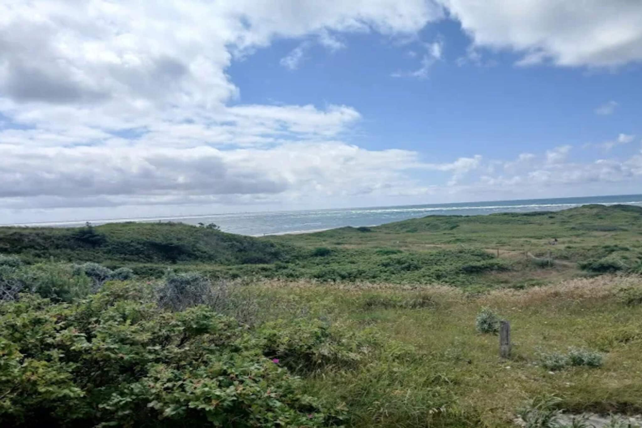10 persoons vakantie huis in Blåvand - Niet-getagd