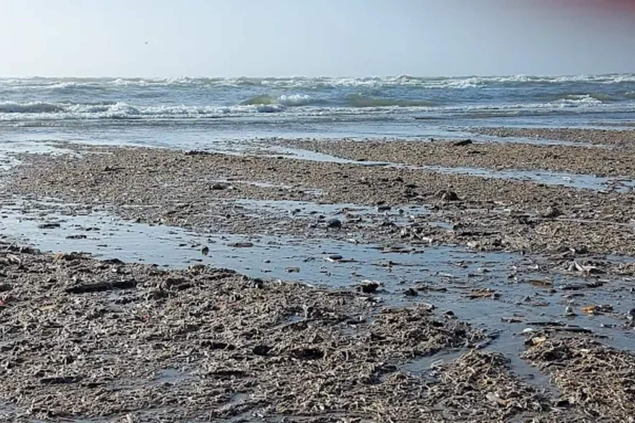 10 persoons vakantie huis in Blåvand - Waterzicht