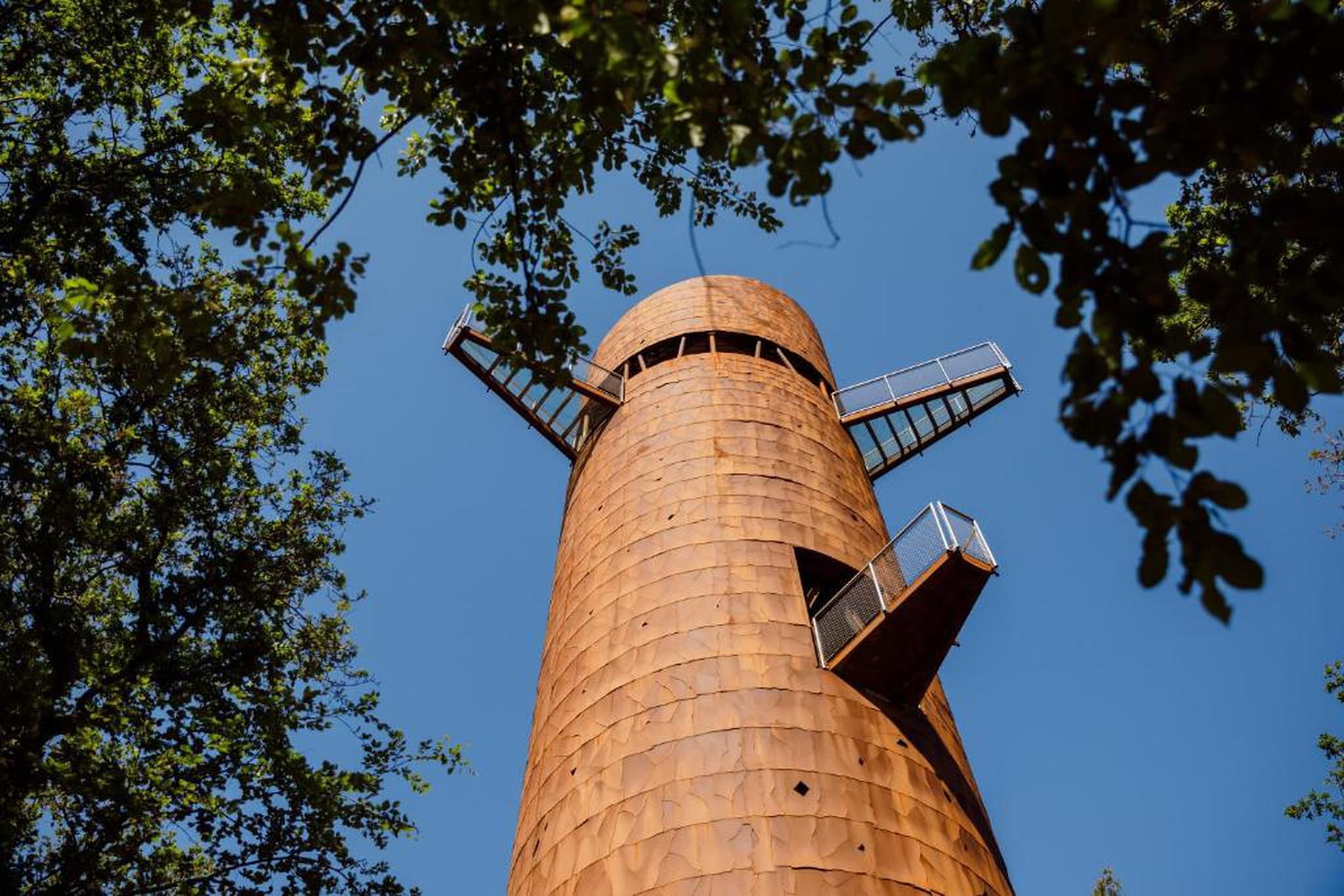 Resort Brinckerduyn 2-Gebiete Sommer 20 km