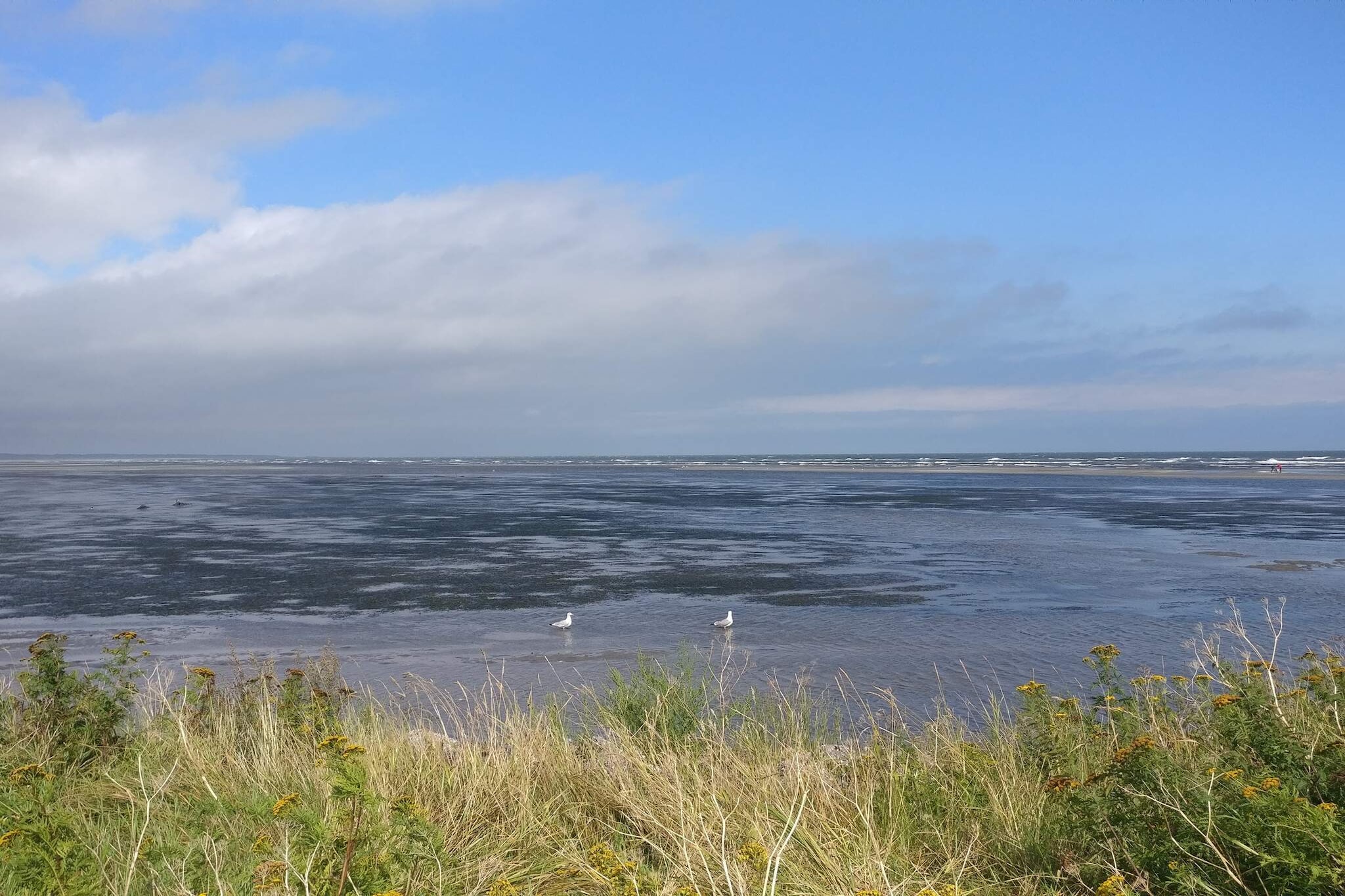 Maison de vacances pour 6 a Asaa-By Traum - Vue sur l'eau