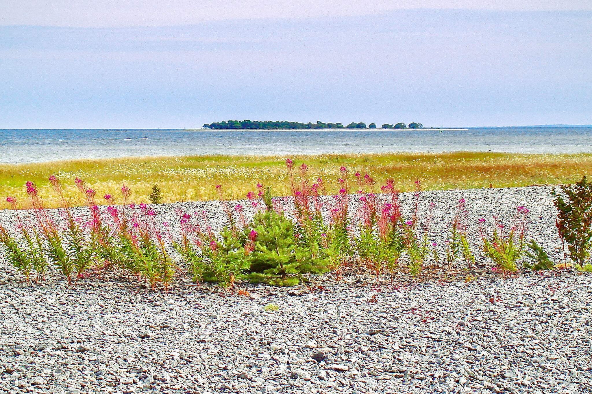 5 person holiday home in Romakloster-By Traum