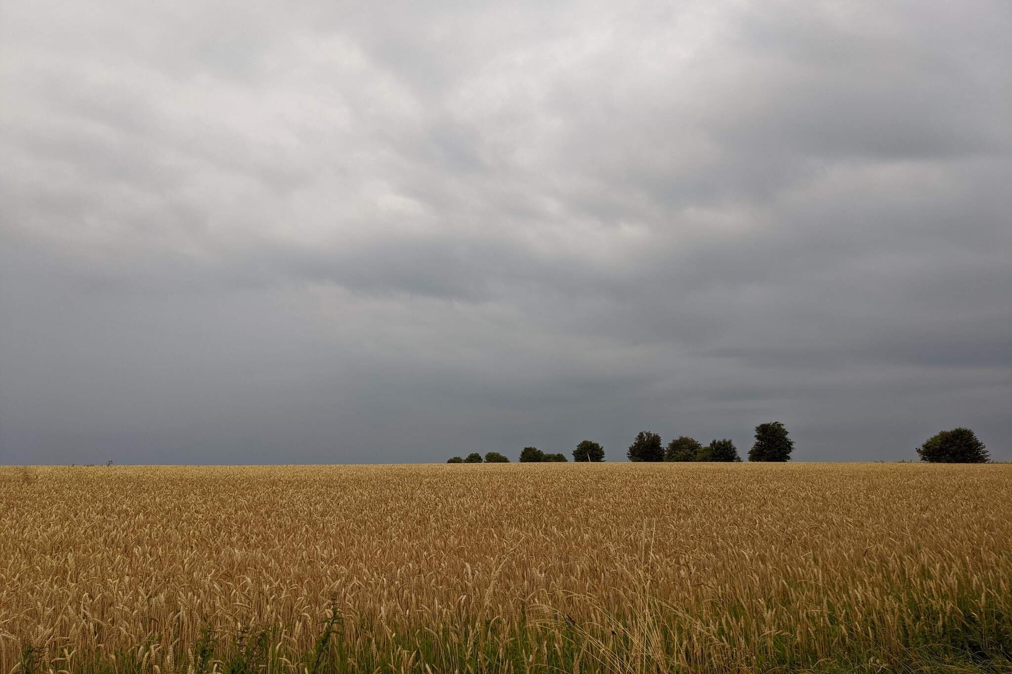 Panoramisch toevluchtsoord in Borgnaes -- By Traum Ferienwohnungen-Niet-getagd