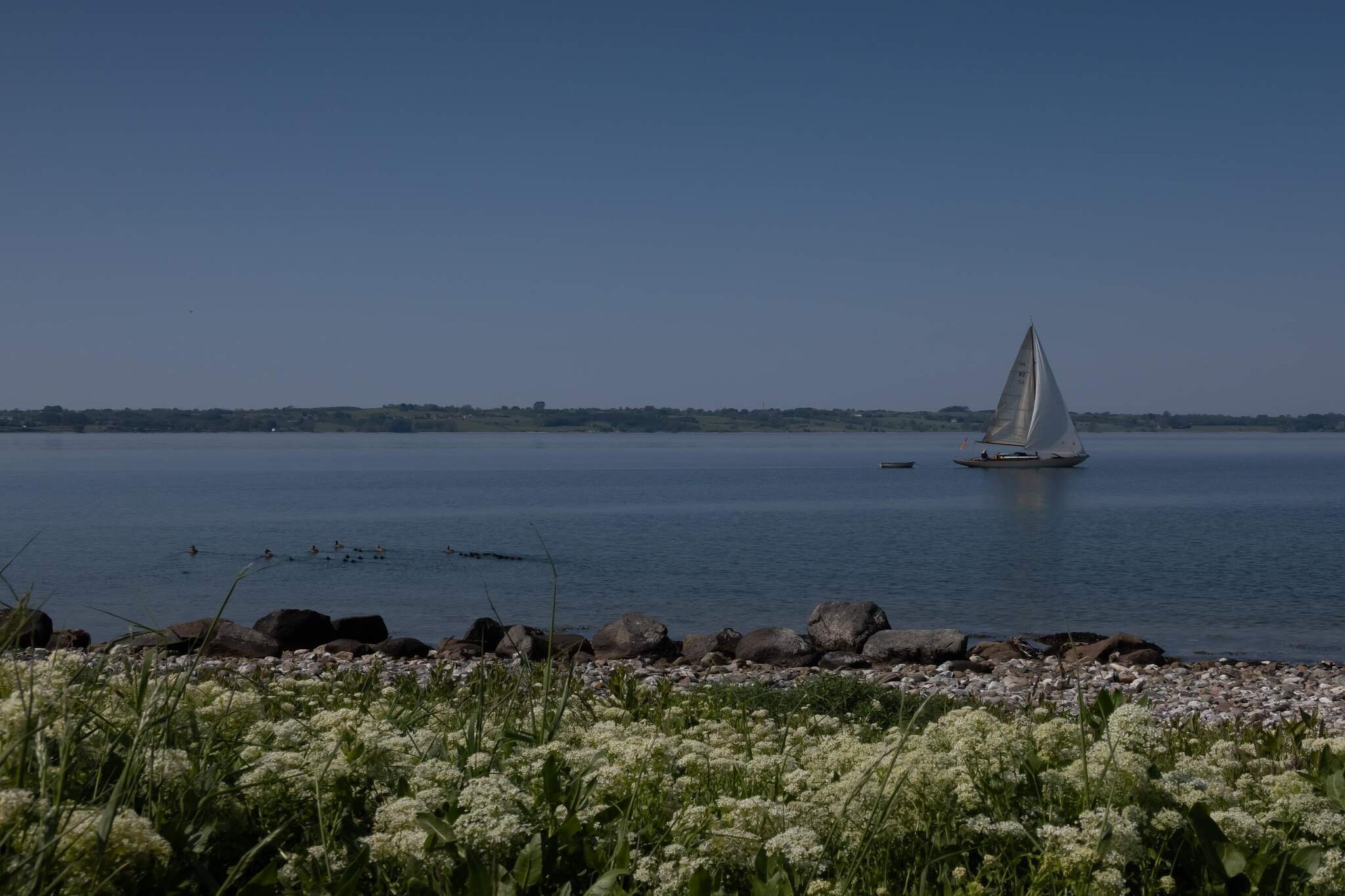 Panorama-Retreat in Borgnaes - Wasserblick