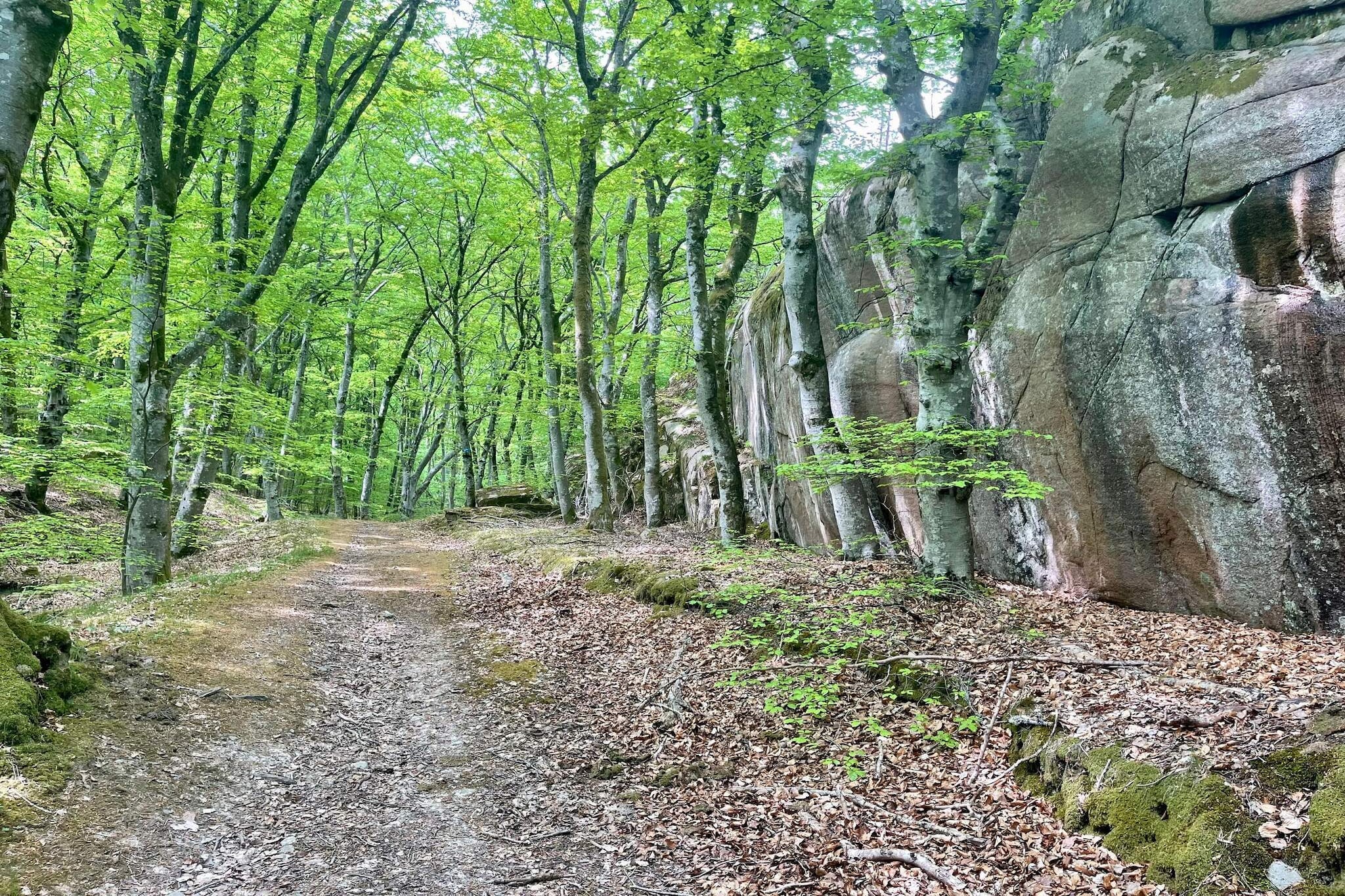 open kitchen(cooker(electric), coffee machine, microwave, fridge-freezer, water from well), Living/bed room(TV), bedroom(single folding bed, 2x bunk bed), bathroom(washbasin, shower, toilet), tumble dryer, washing machine, garden furniture, BBQ, parking, geothermal energy