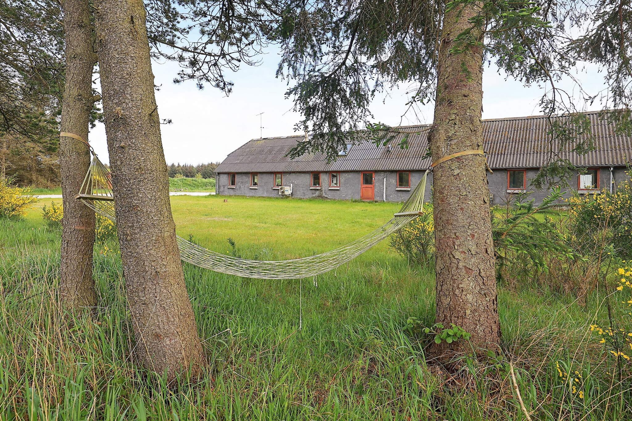 Vakantiehuis voor 12 personen in Thisted