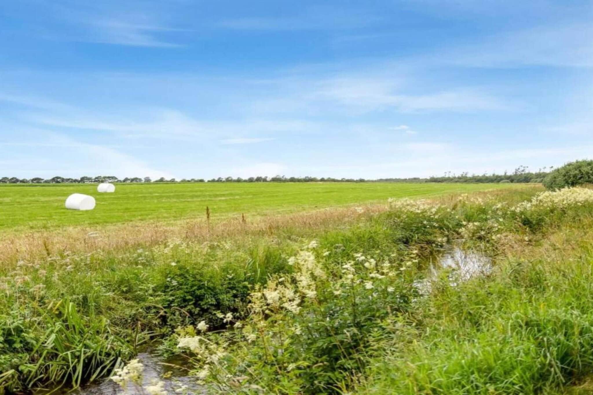 6 persoons vakantie huis in Toftlund-By Traum-Niet-getagd