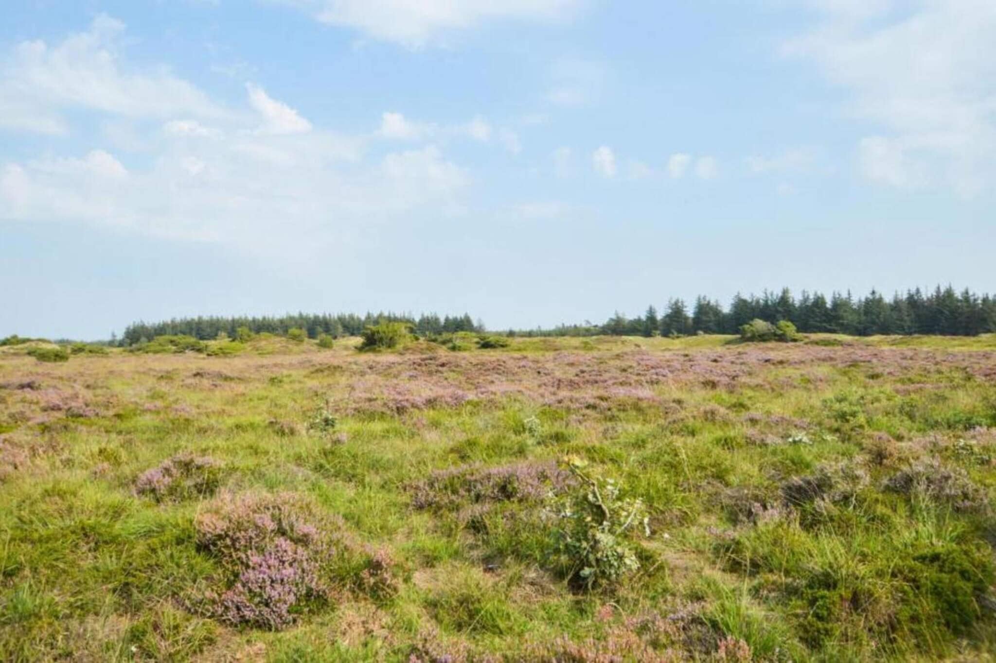 6 persoons vakantie huis in Toftlund-By Traum-Niet-getagd