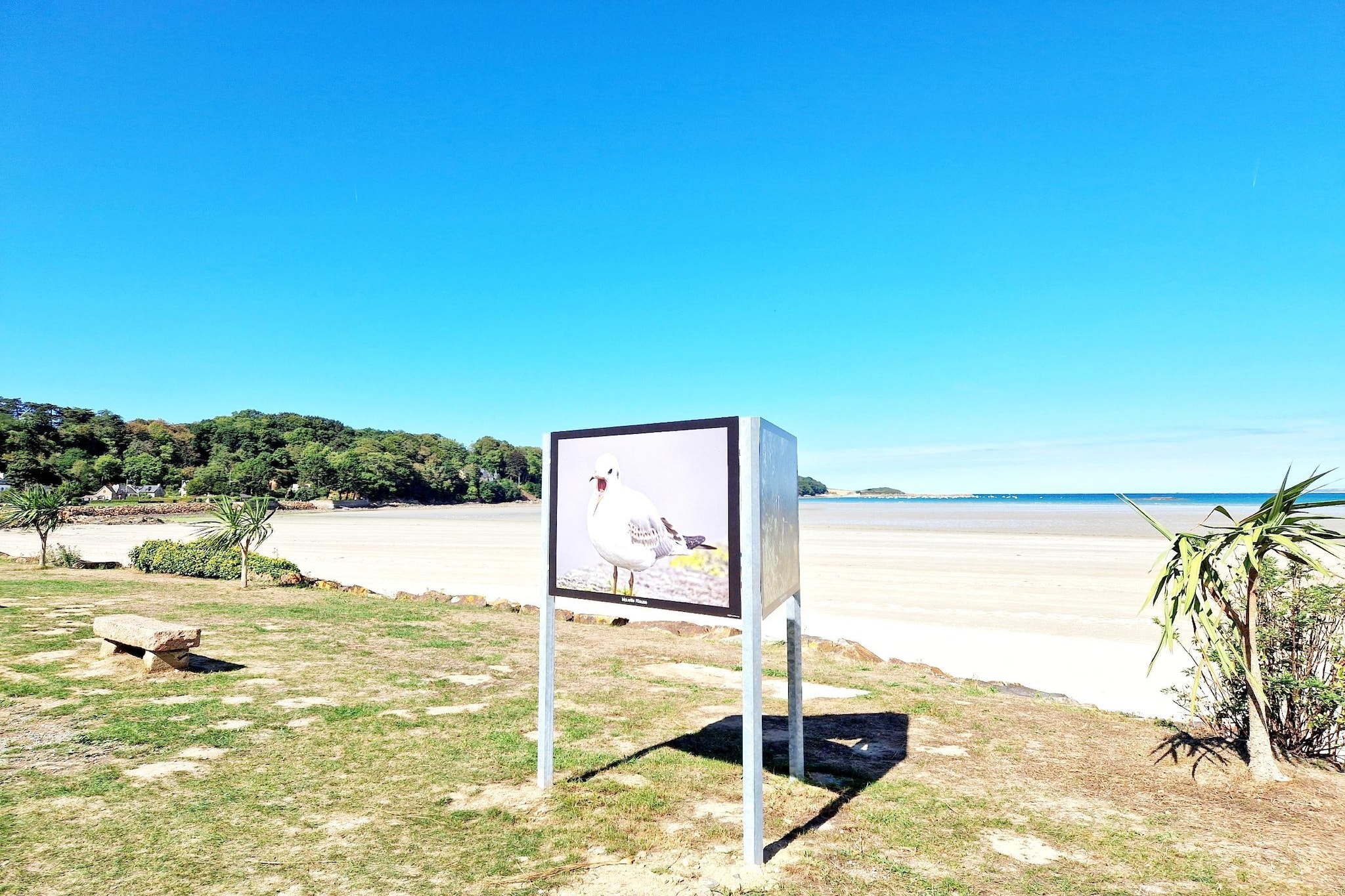 Holiday home Plougasnou-Gebieden zomer 5km