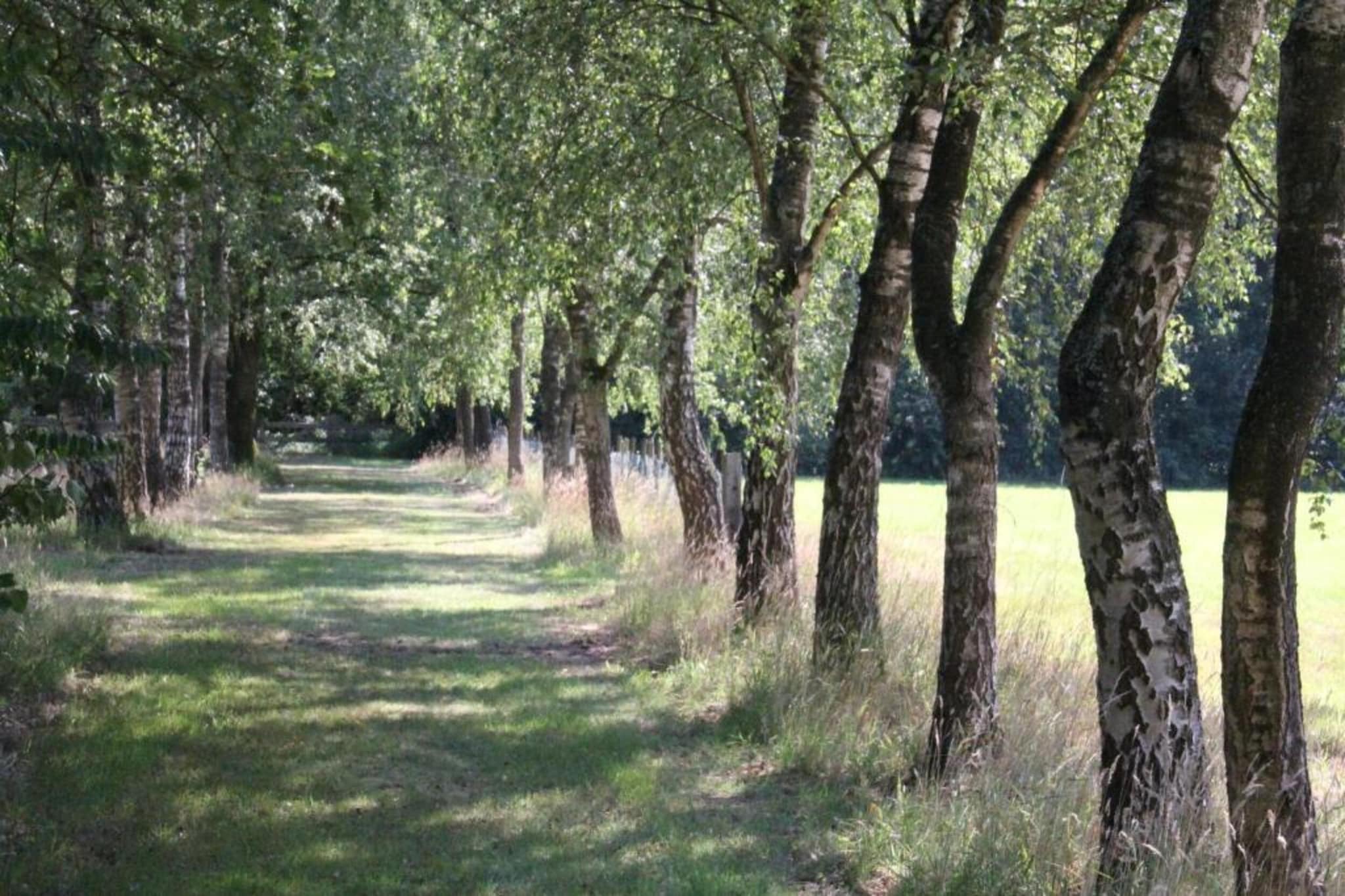 Vakantiepark de Tabaksschuur 4-Gebieden zomer 20km