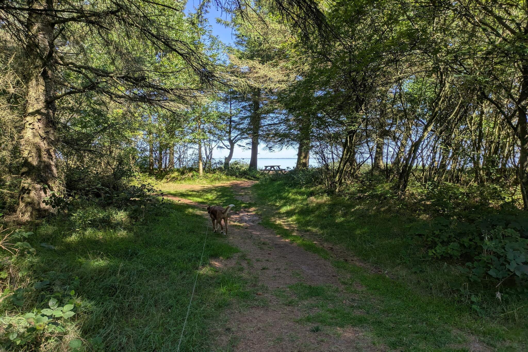 Maison de vacances pour 6 a Ulfborg