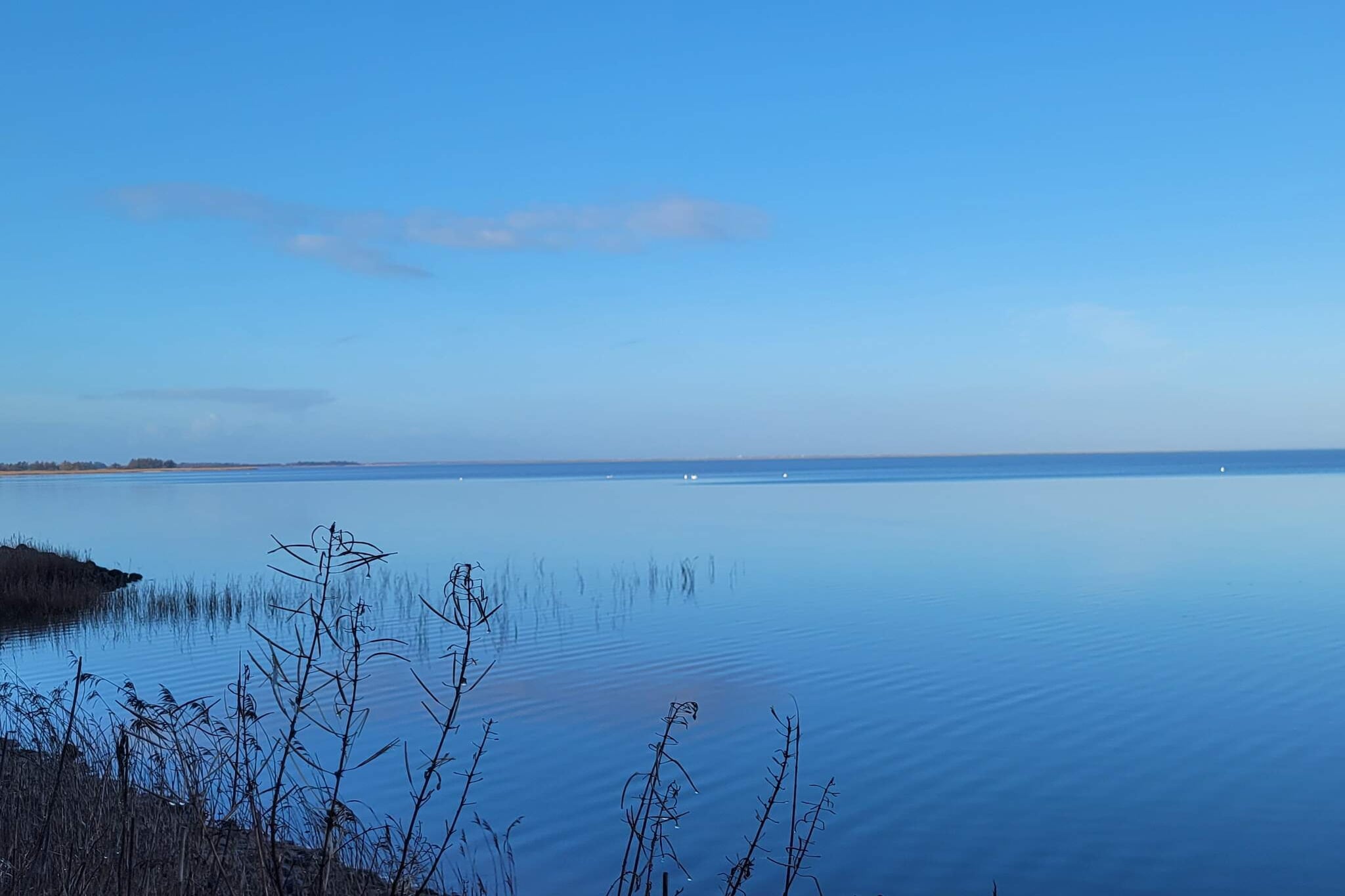 Maison de vacances pour 6 a Ulfborg - Vue sur l'eau
