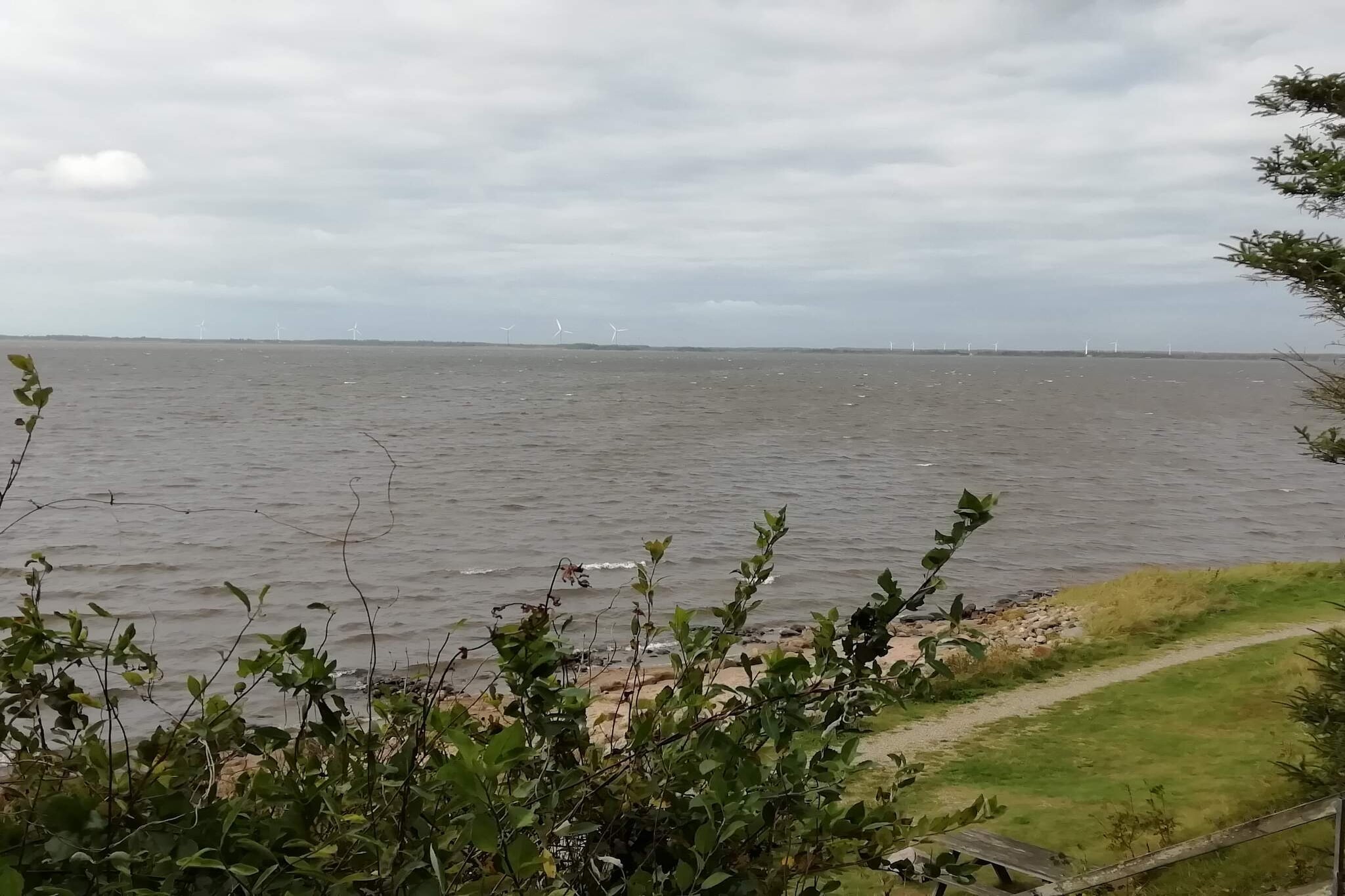 Maison de vacances pour 6 a Ulfborg - Vue sur l'eau