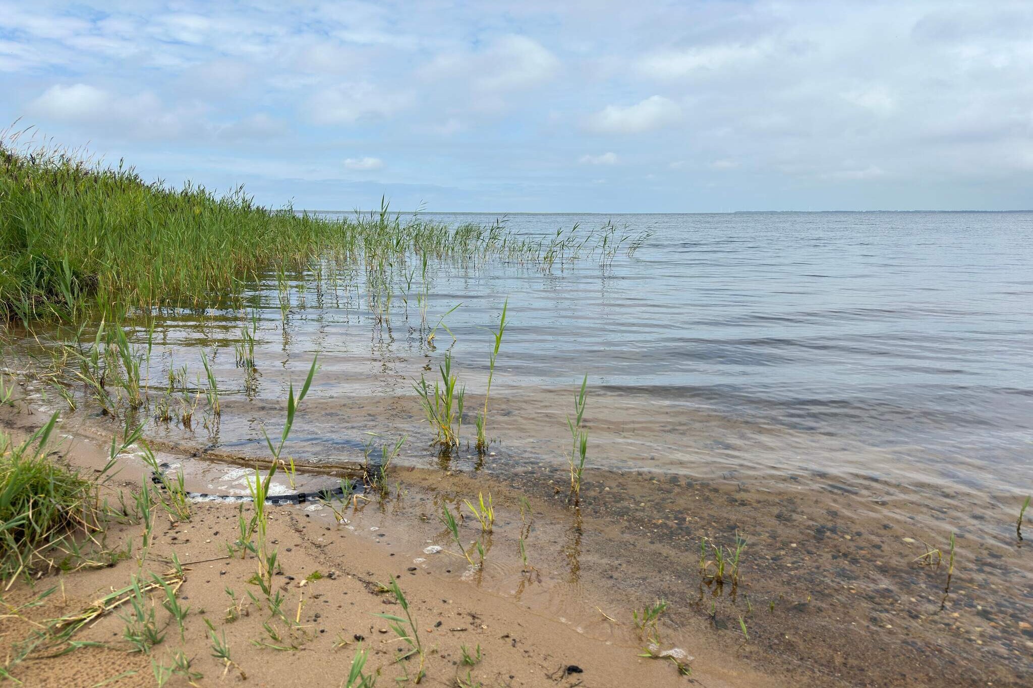 Maison de vacances pour 6 a Ulfborg - Vue sur l'eau