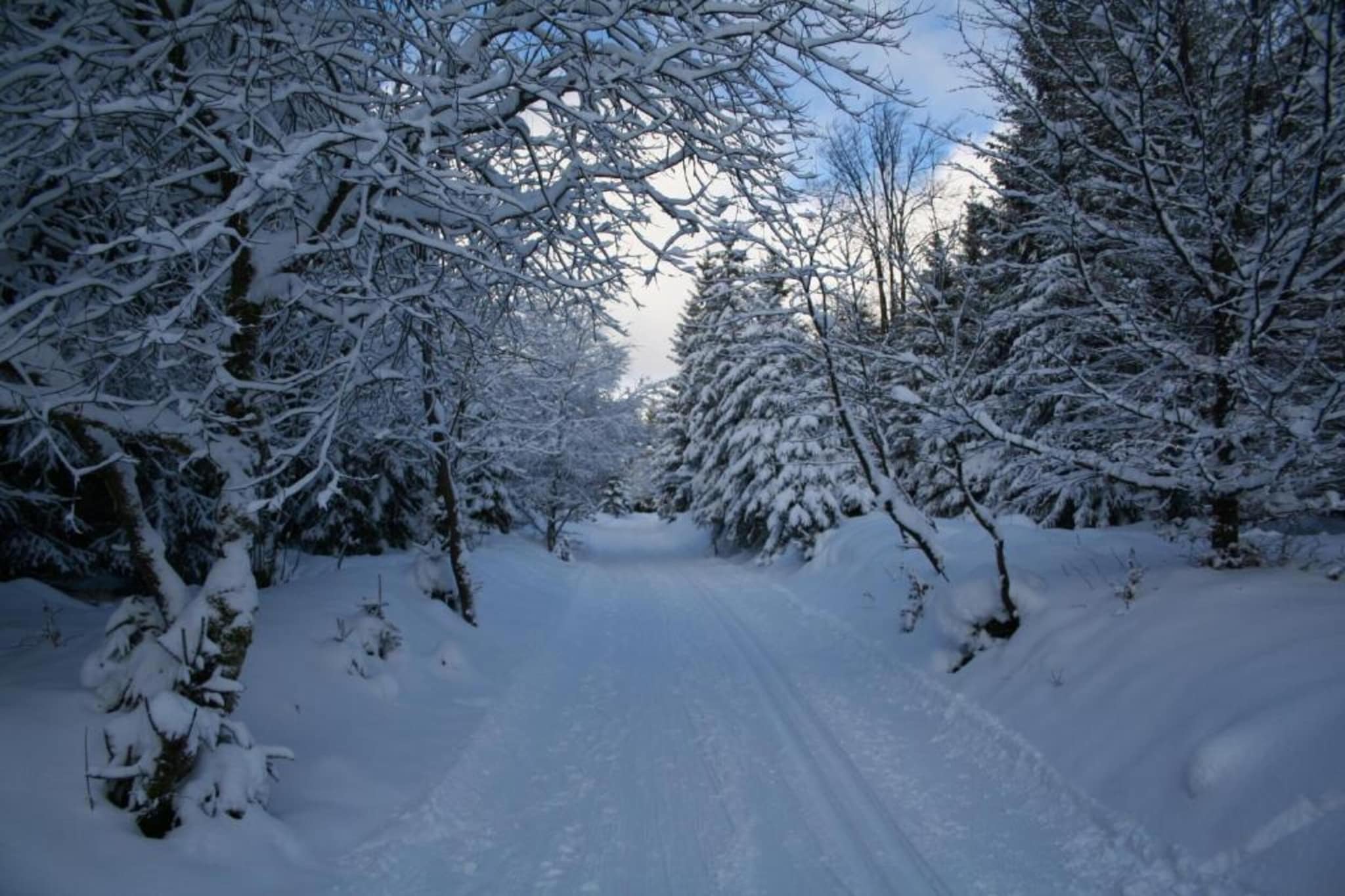 Ferienhaus Loretta-Gebied winter 20km