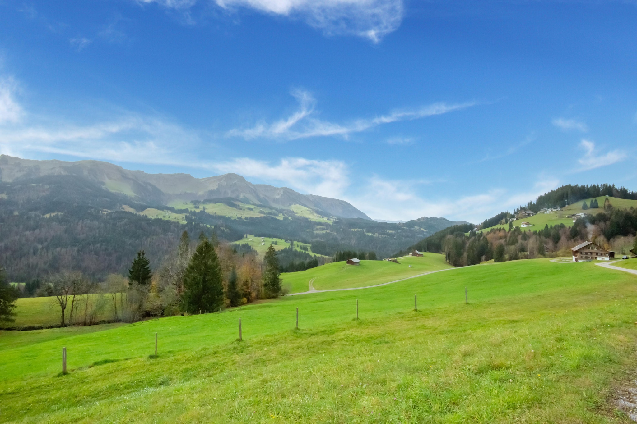 View Summer