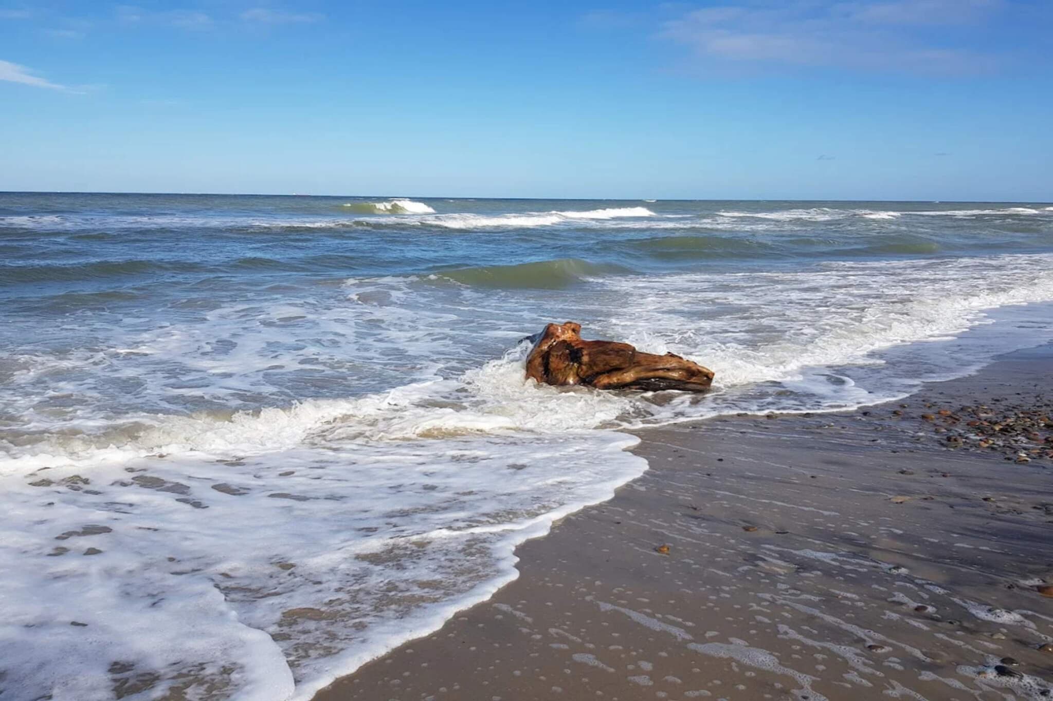 6 persoons vakantie huis in Skagen-By Traum - Waterzicht