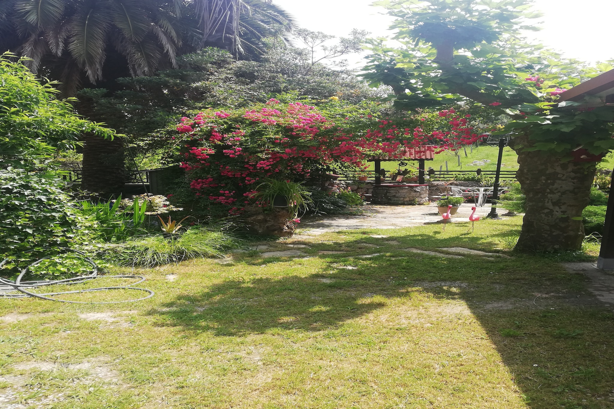 Garden Winter