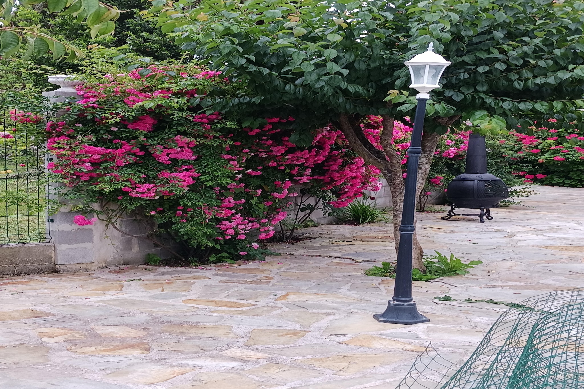 Garden Summer