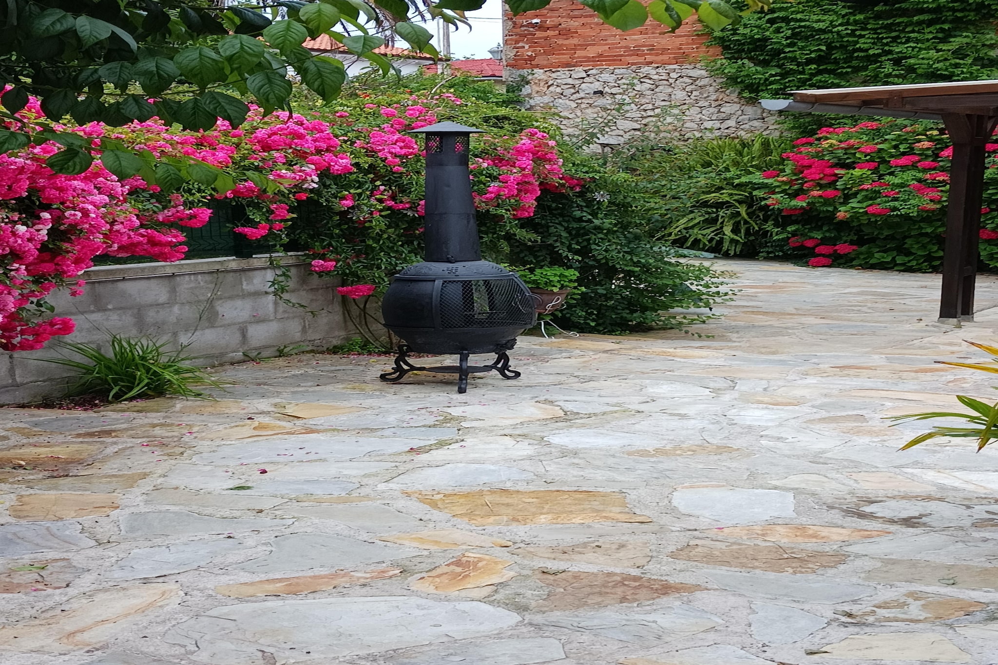 Garden Summer