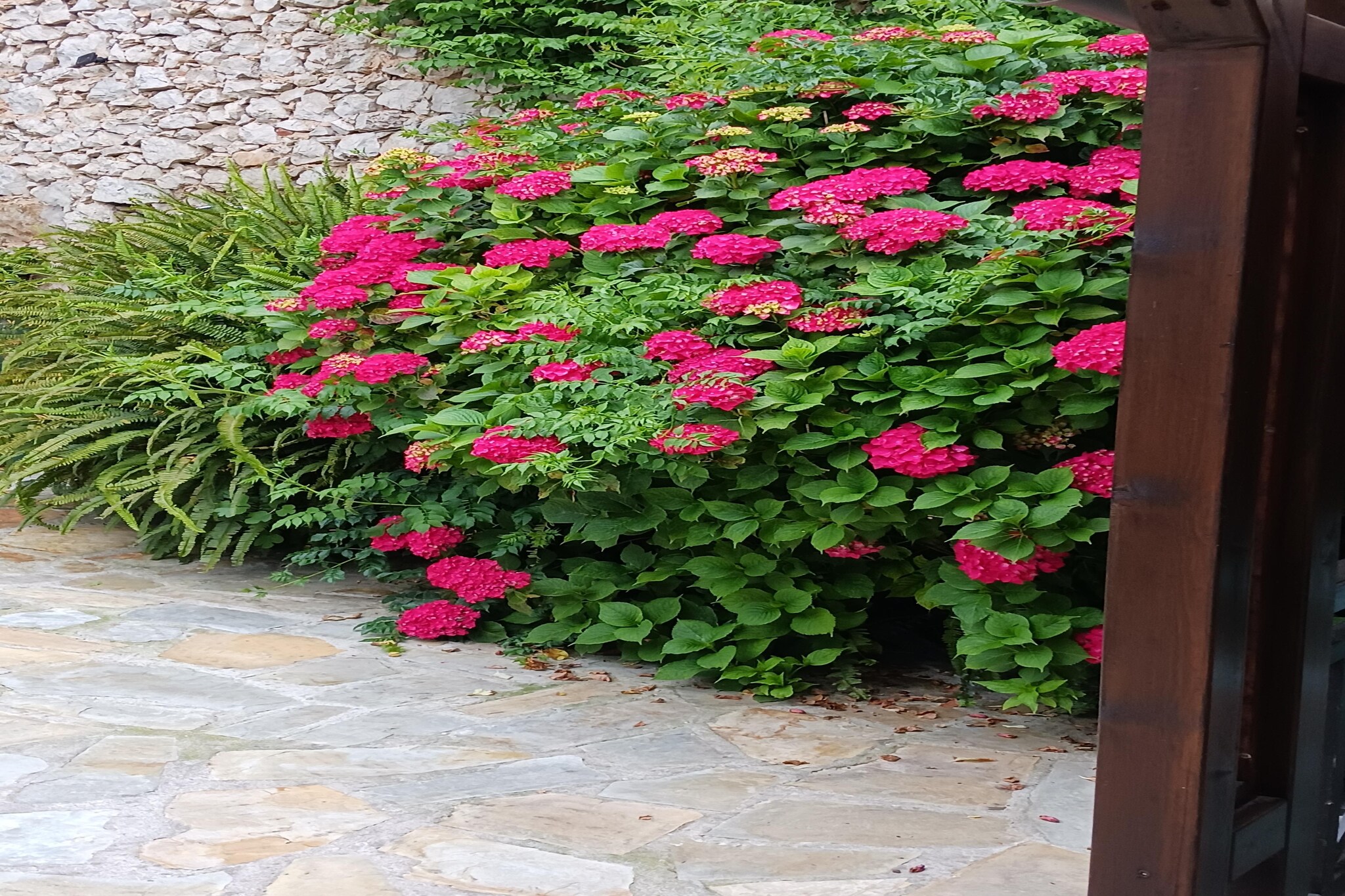 Garden Summer