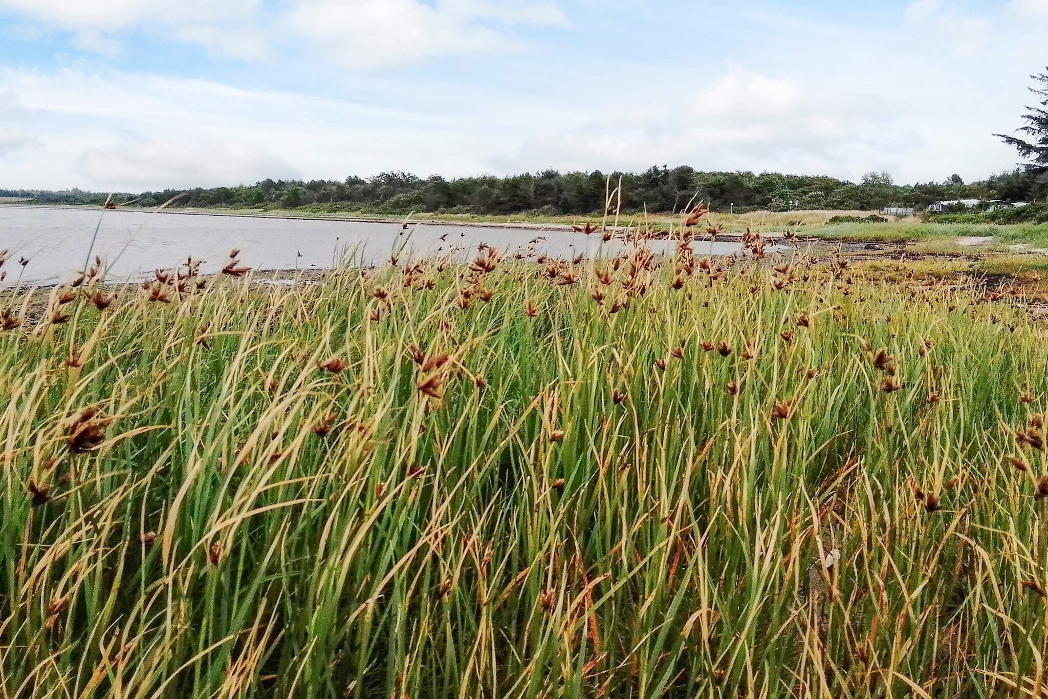 10 persoons vakantie huis in Farsø-By Traum-Waterzicht