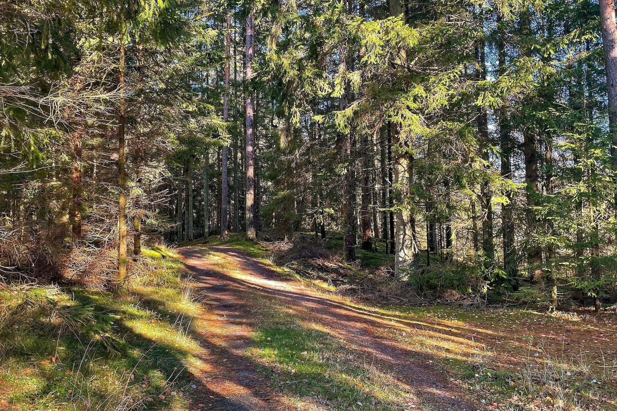 5 persoons vakantie huis in Fjärås-By Traum - Niet-getagd