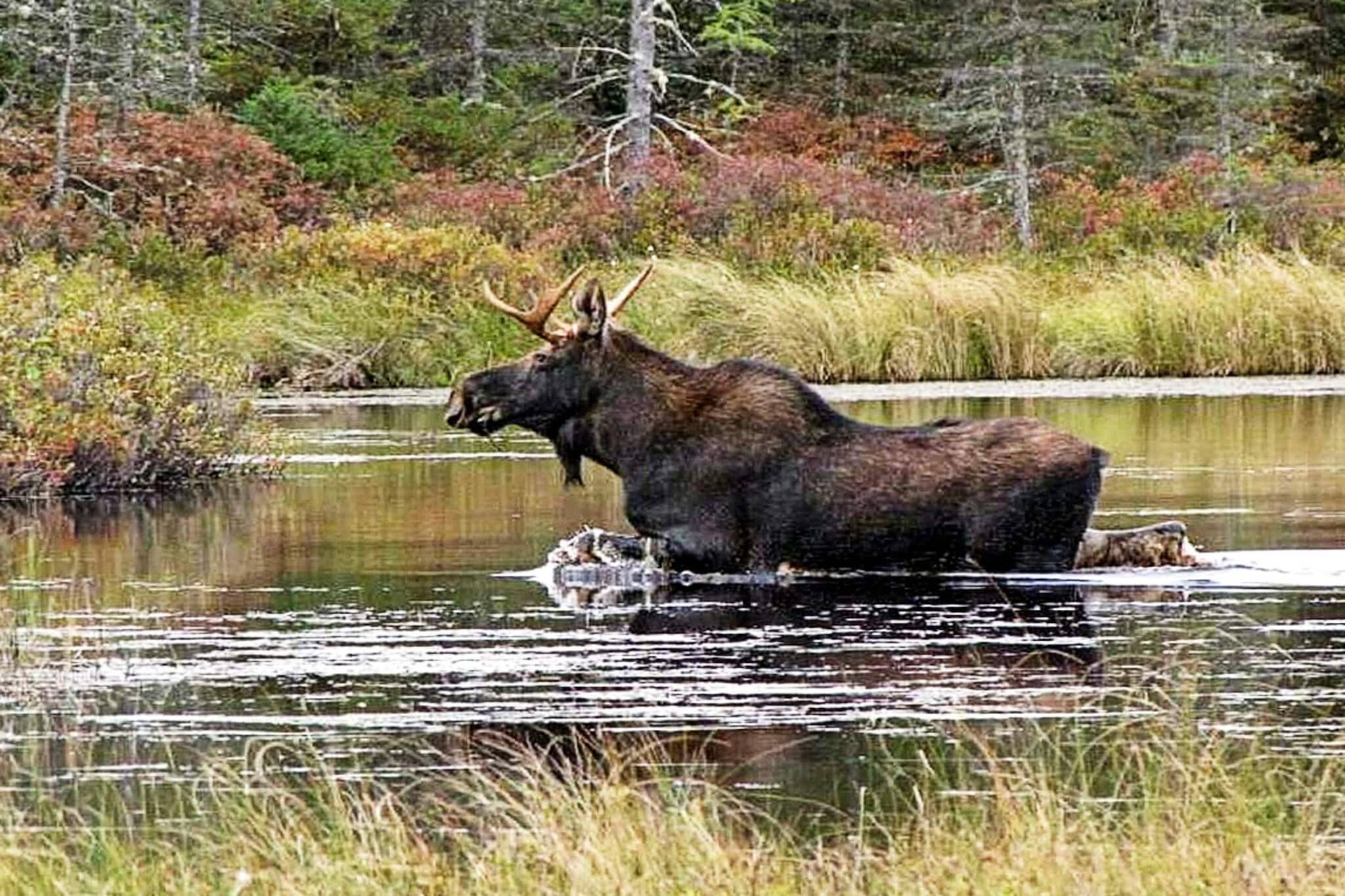 5 persoons vakantie huis in Fjärås-By Traum - Uitzicht