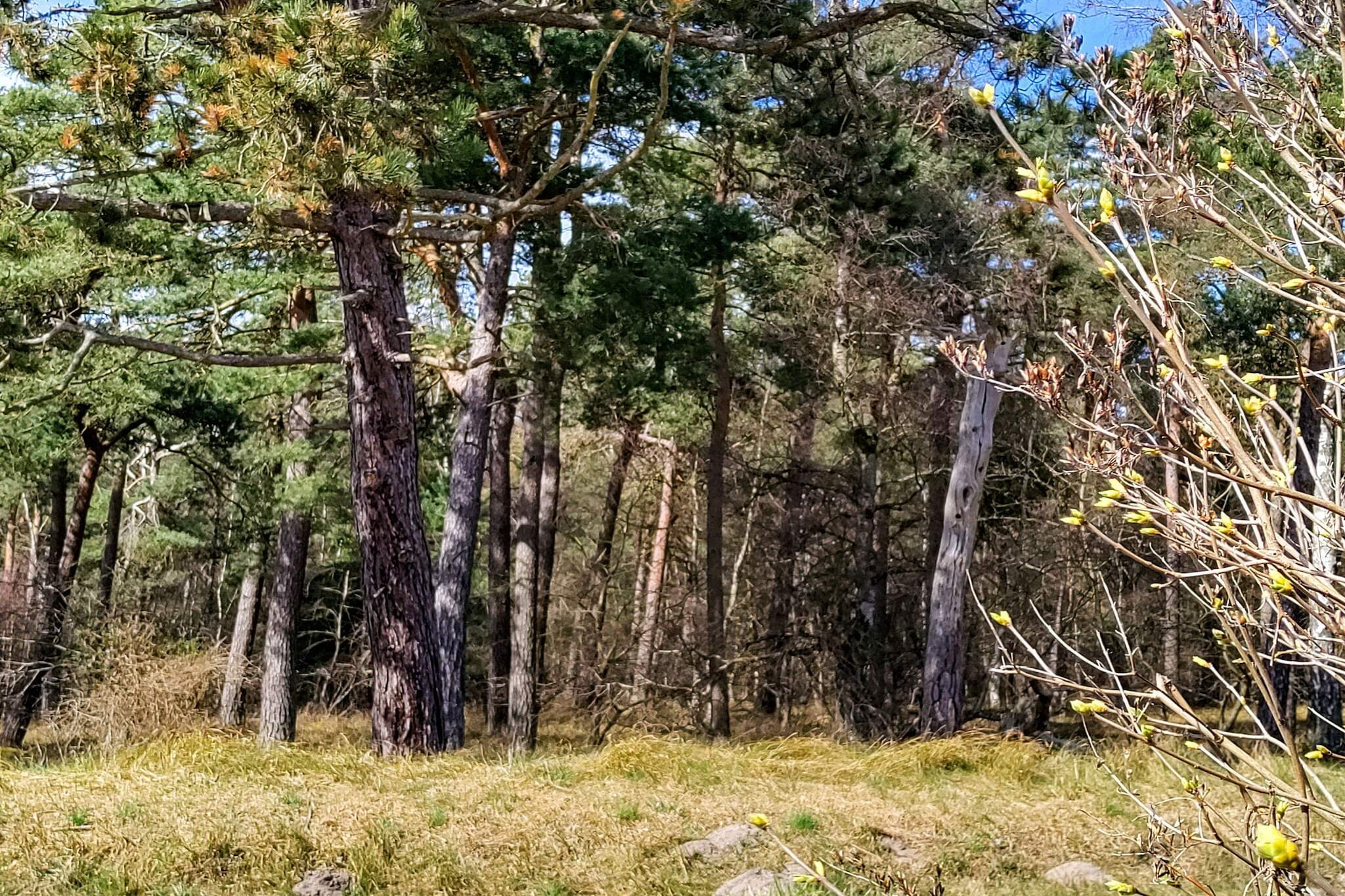 6 persoons vakantie huis in Højby-By Traum