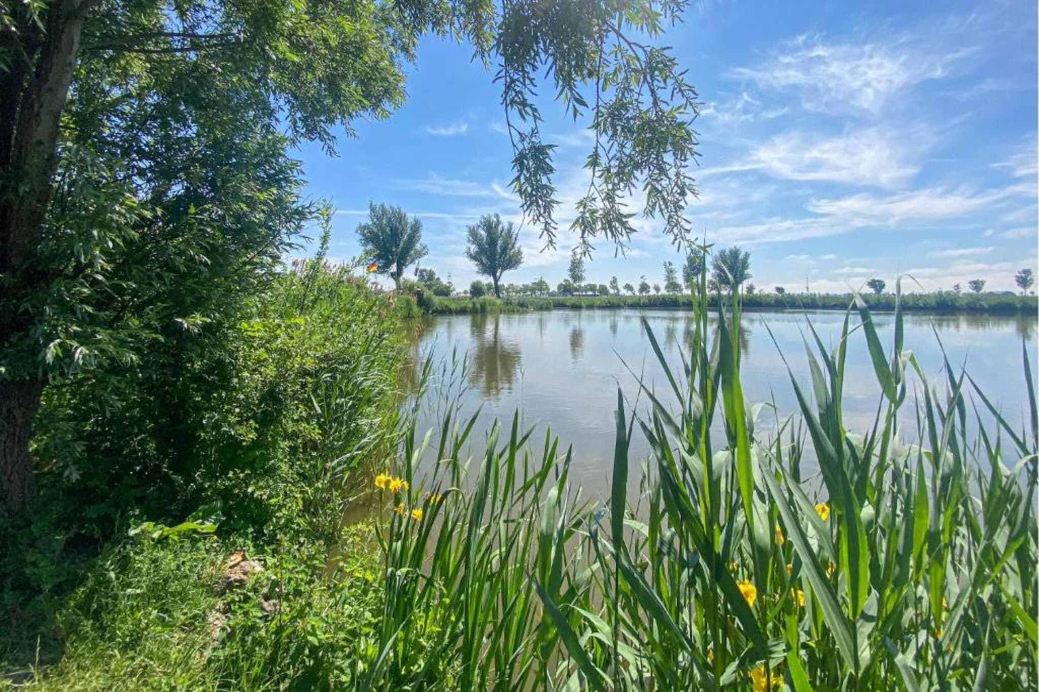 Vakantiehuis De Weide Blick-Areas summer 5km