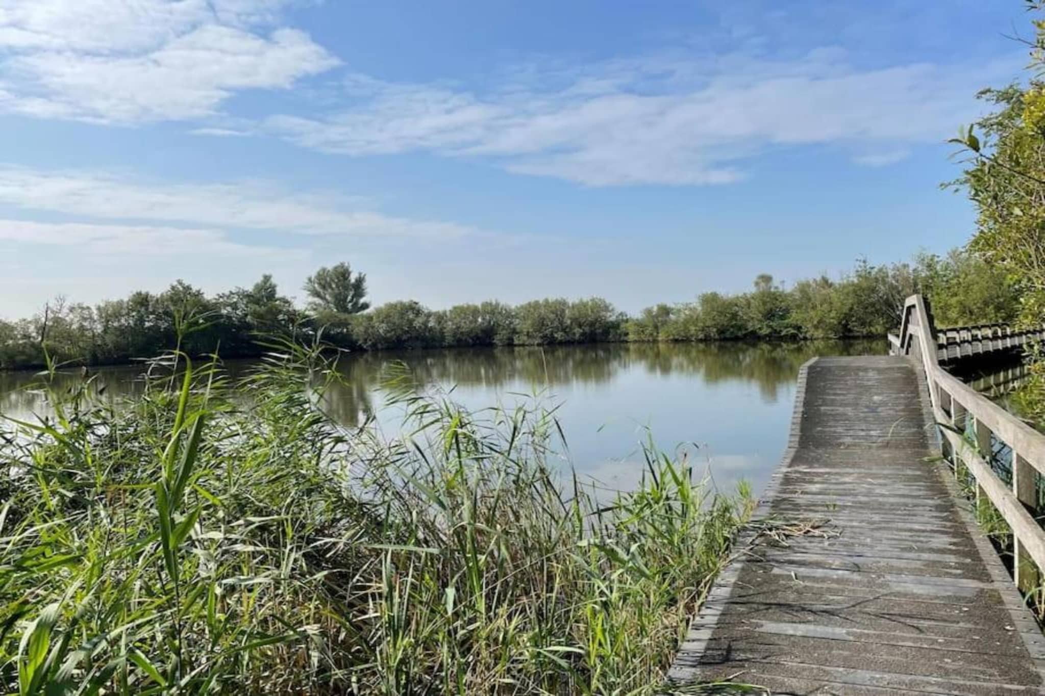 Vakantiehuis De Weide Blick-Areas summer 5km