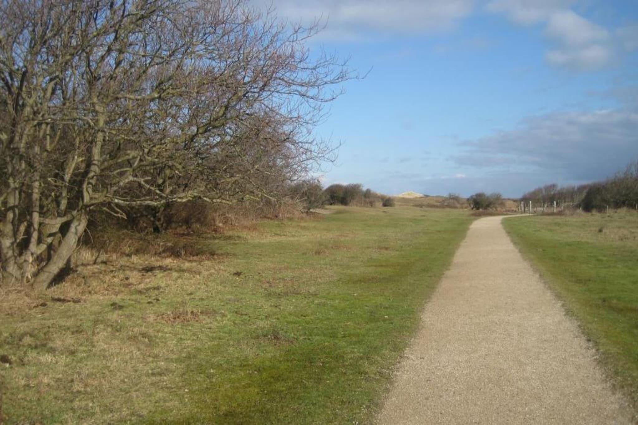 Ferienwohnung Oostkapelle Zeeland M53-Gebiete Sommer 20 km