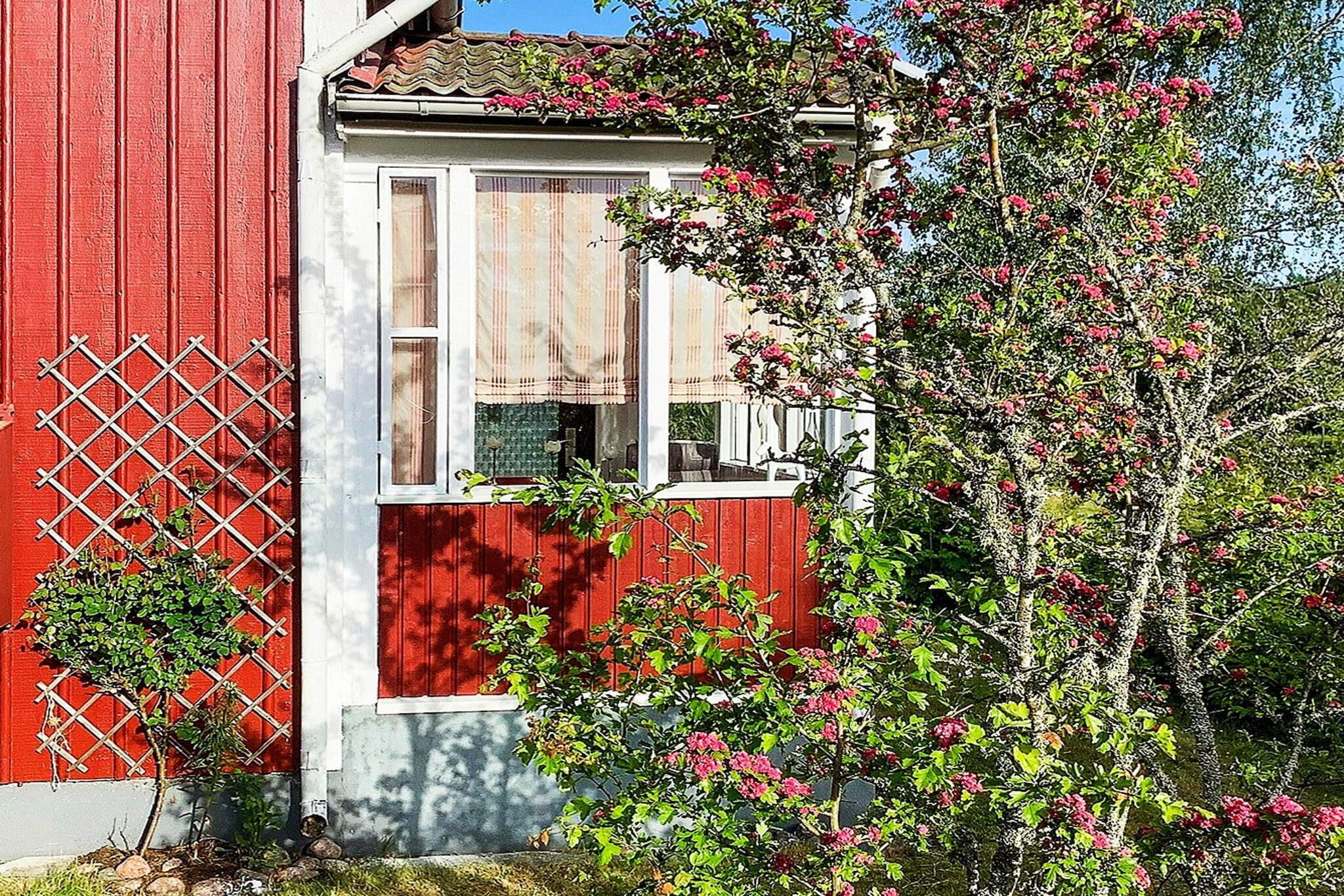 7 persoons vakantie huis in BRUZAHOLM-By Traum - Buitenlucht