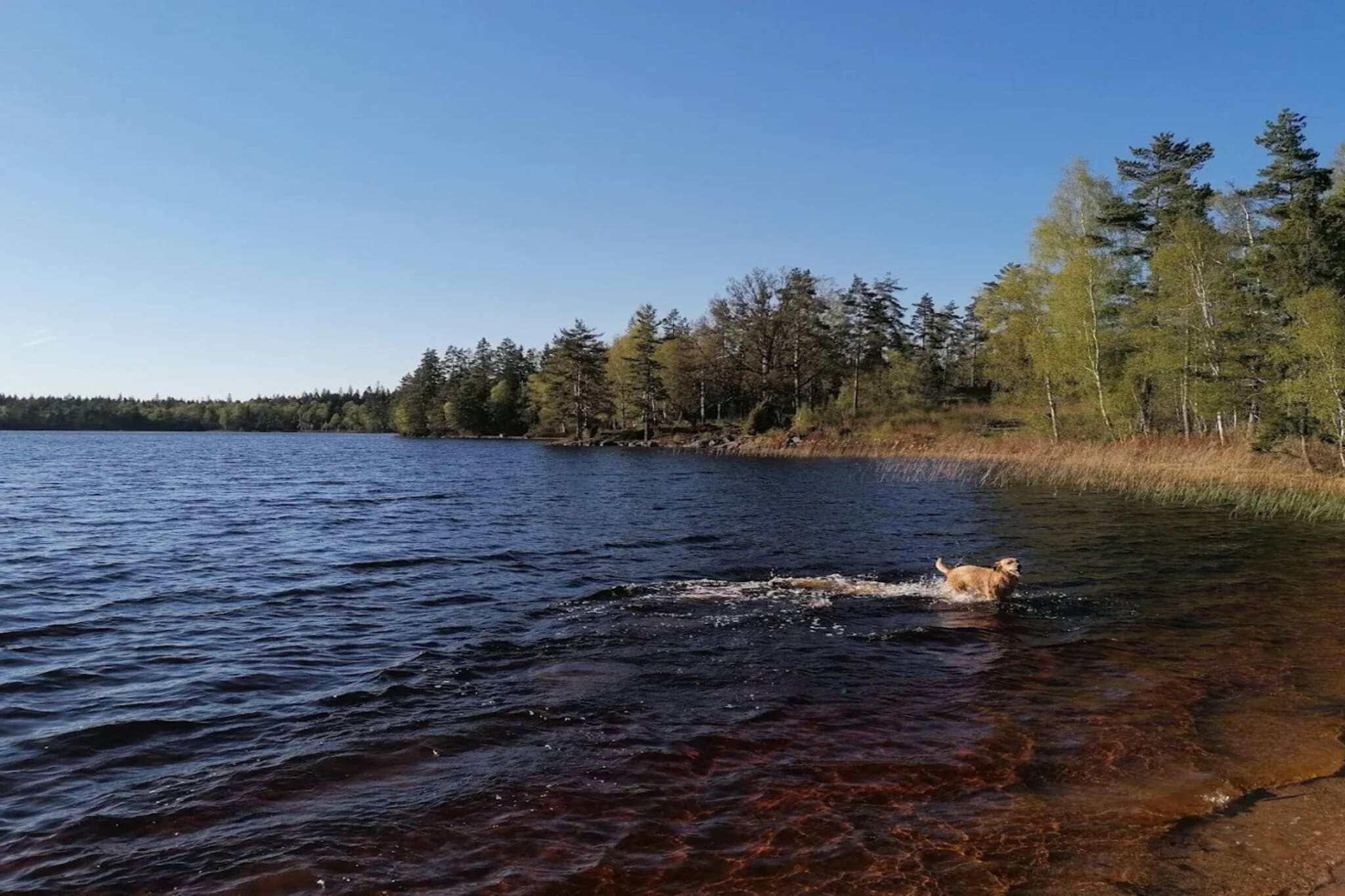 7 persoons vakantie huis in BRUZAHOLM-By Traum - Waterzicht