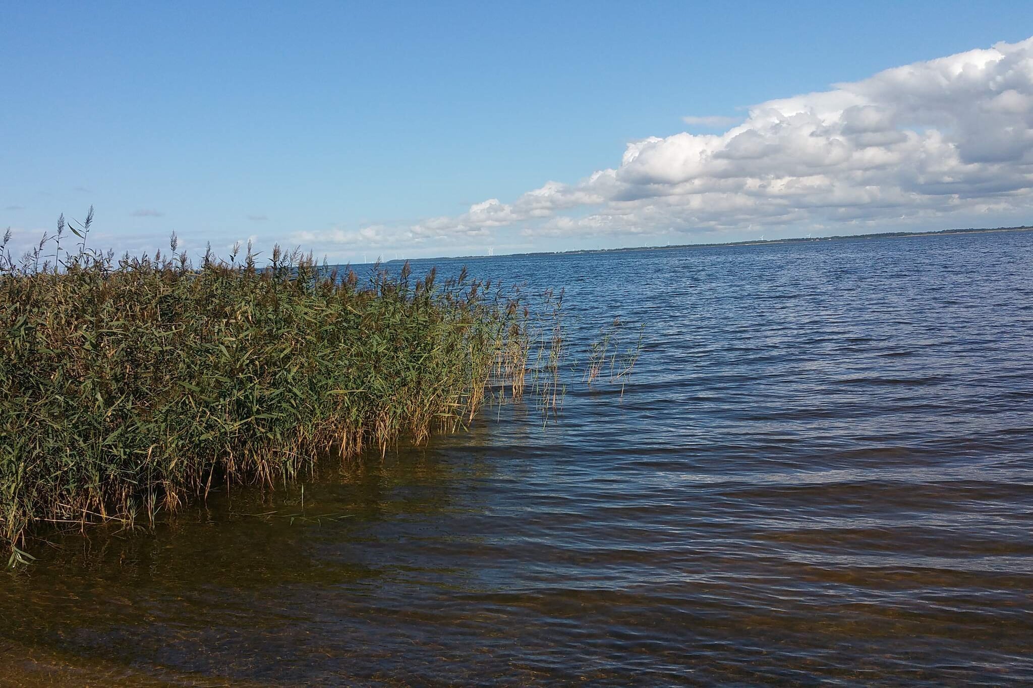 6 Personen Ferienhaus in Ulfborg-By Traum-Wasserblick