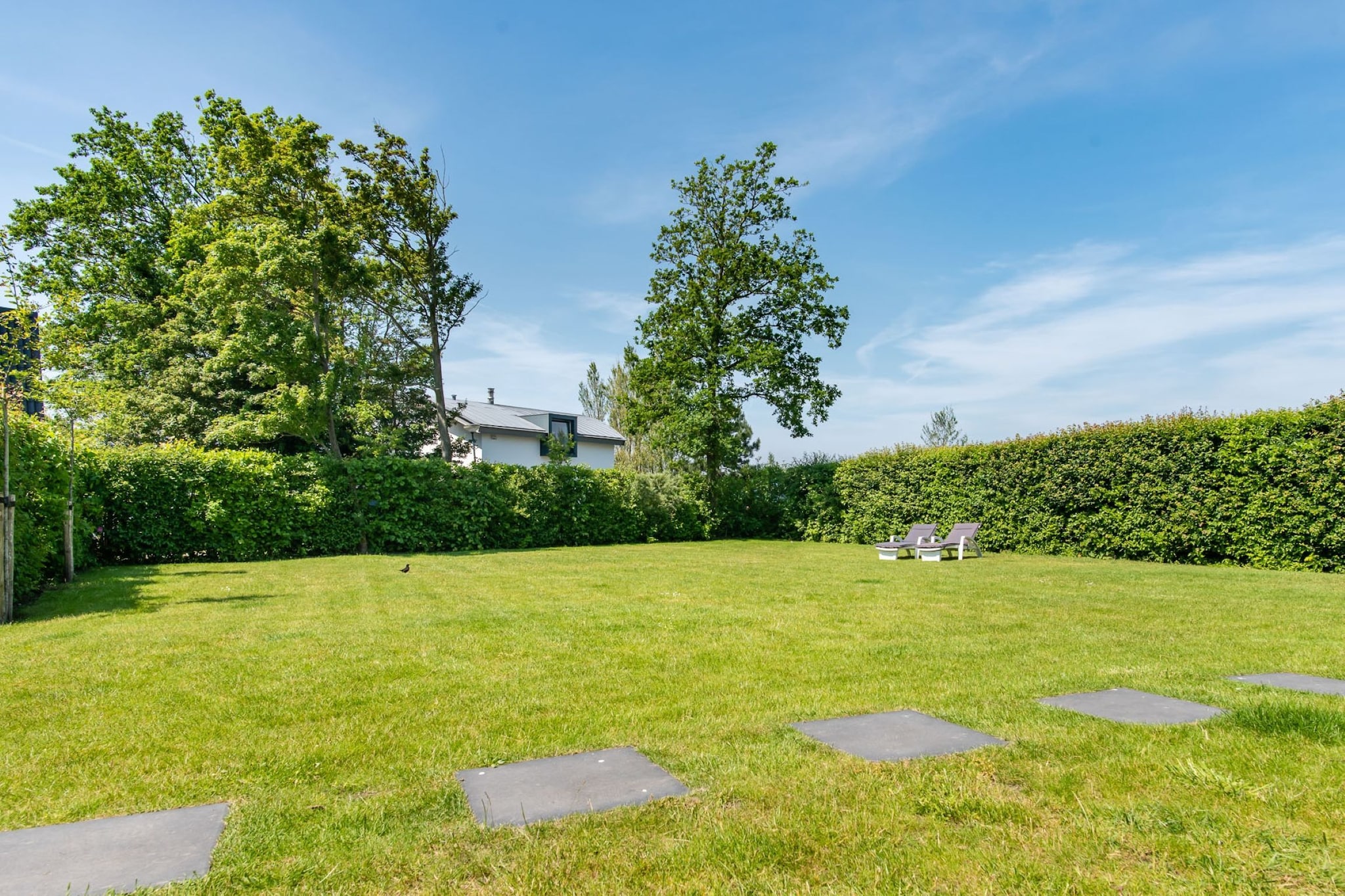 Garden Summer