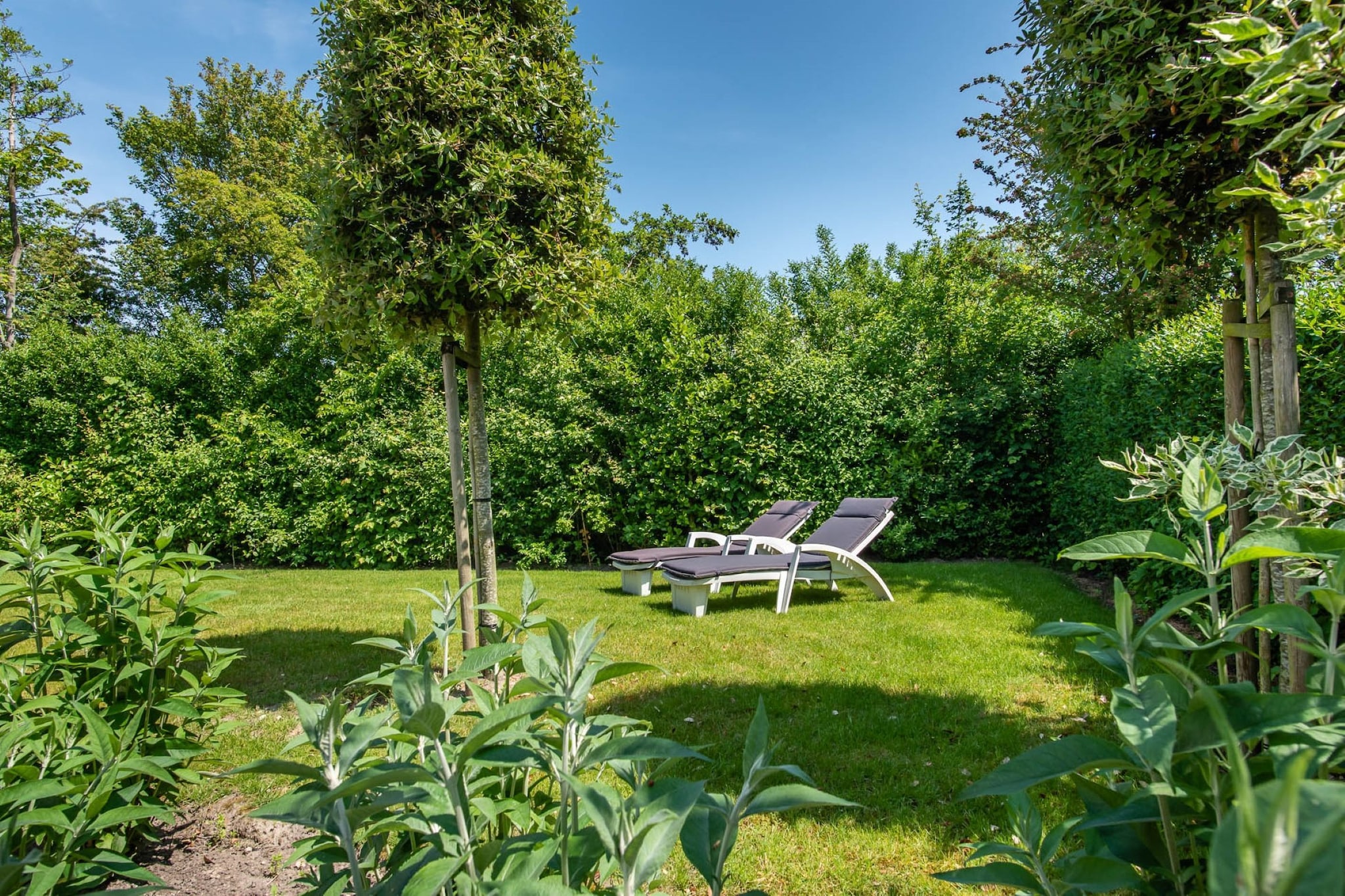 Garden Summer