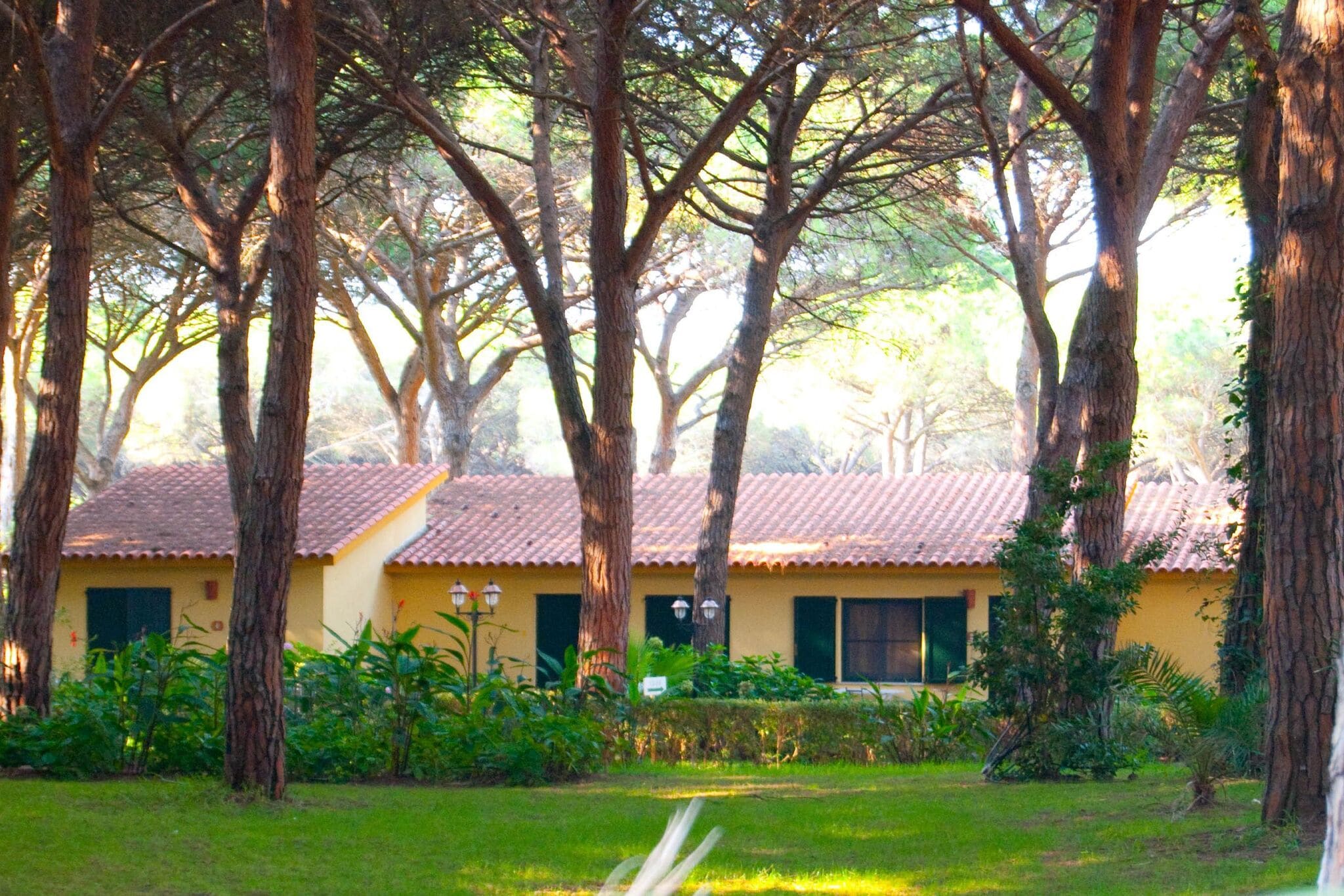 Villa immersed in the pine forest in Sardinia with swimming pool and a few steps from the sea