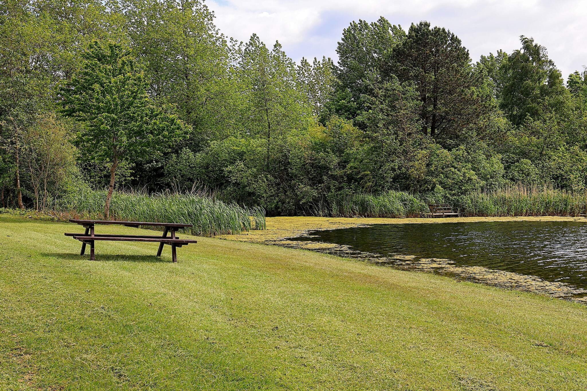 Maison de vacances pour 6 a Tranekær-By Traum - Vue sur l'eau