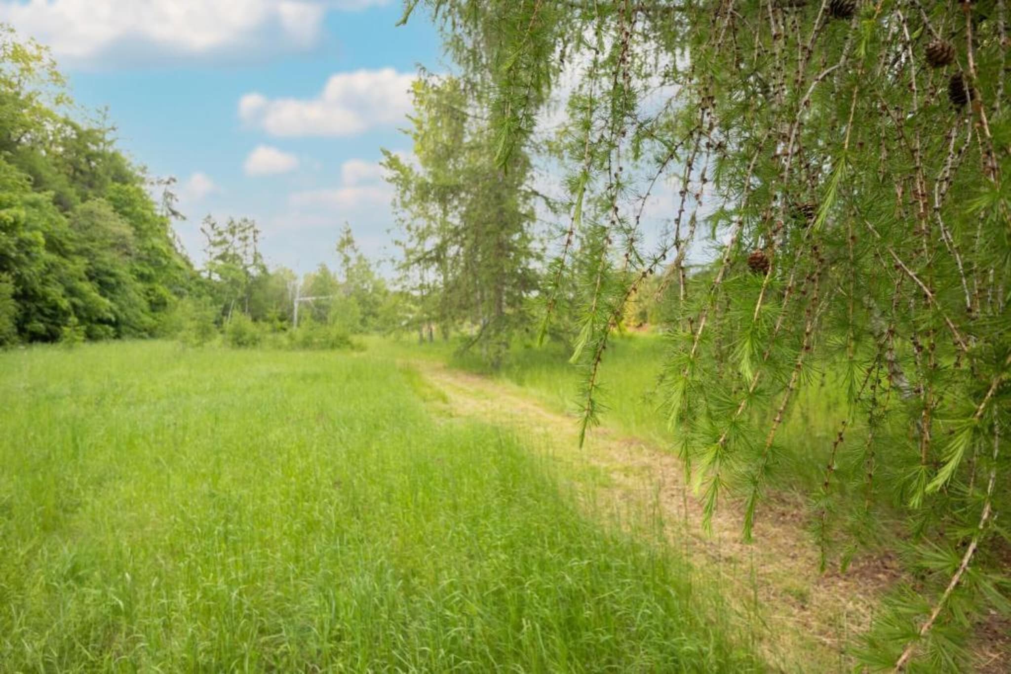 Ferienwohnung Stapelburg-Gebieden zomer 5km