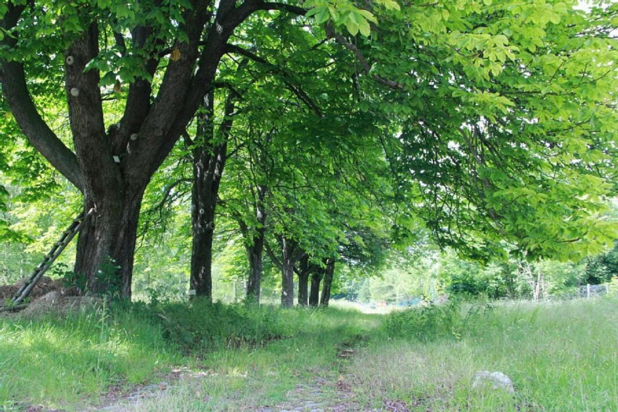 Ferienwohnung Stapelburg-Gebieden zomer 5km