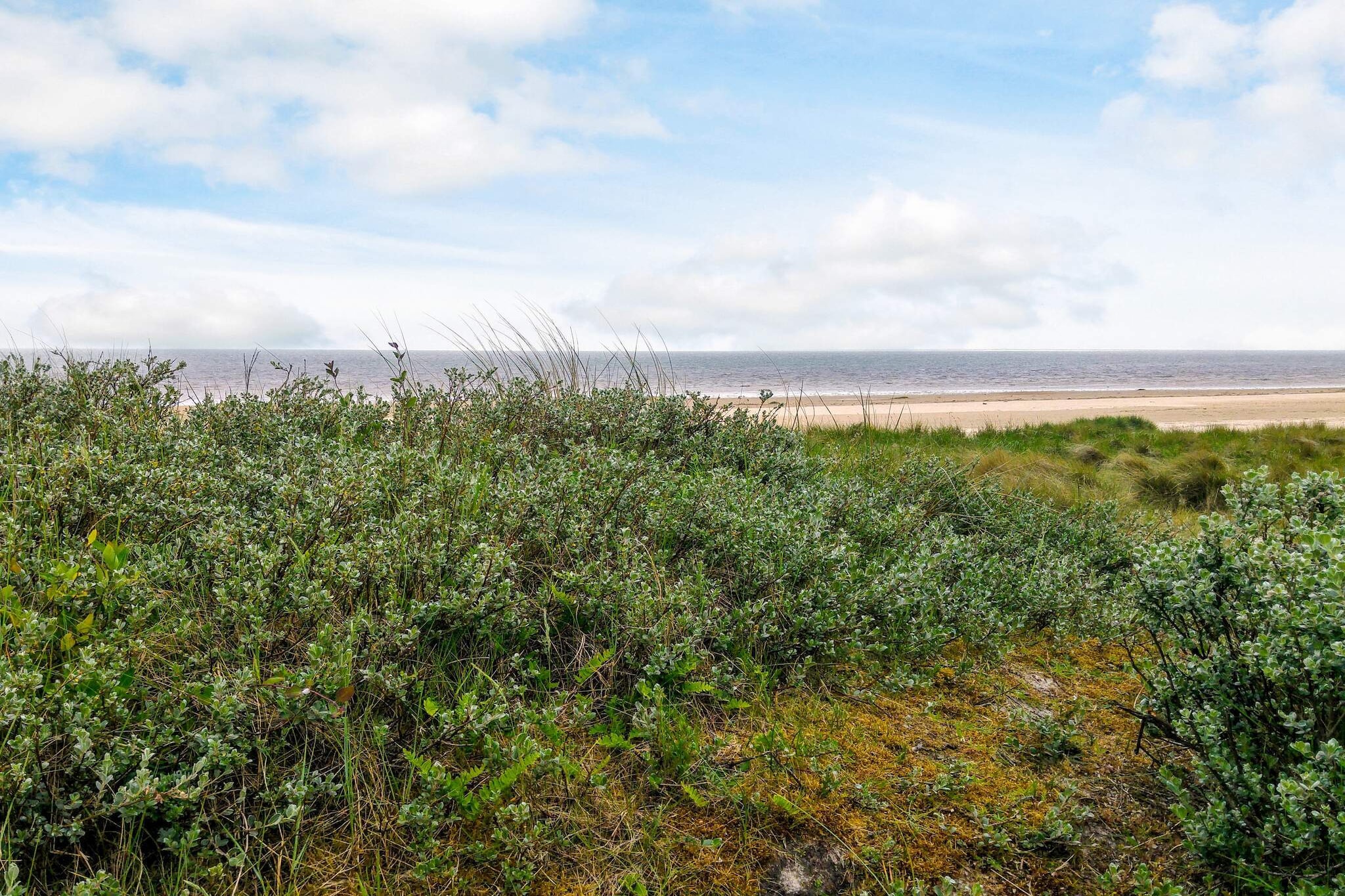 12 persoons vakantie huis in Fanø-By Traum-Niet-getagd