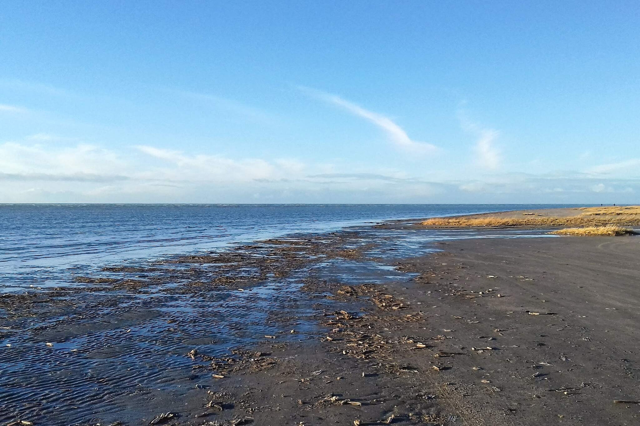 12 Personen Ferienhaus in Fanø-By Traum
