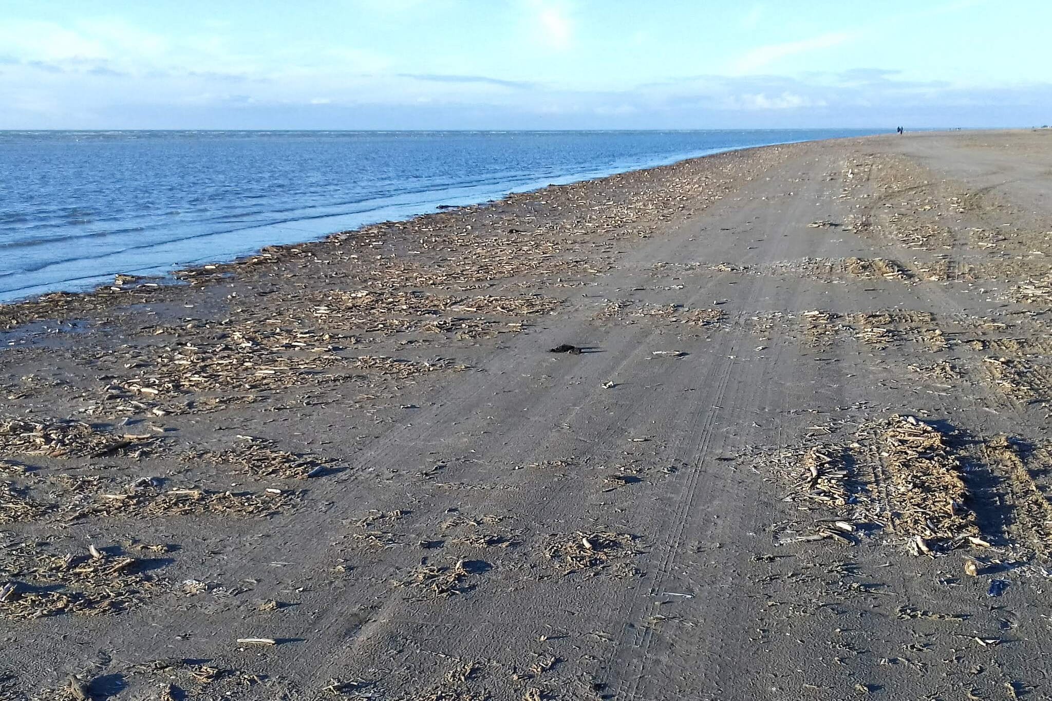 12 persoons vakantie huis in Fanø-By Traum - Waterzicht