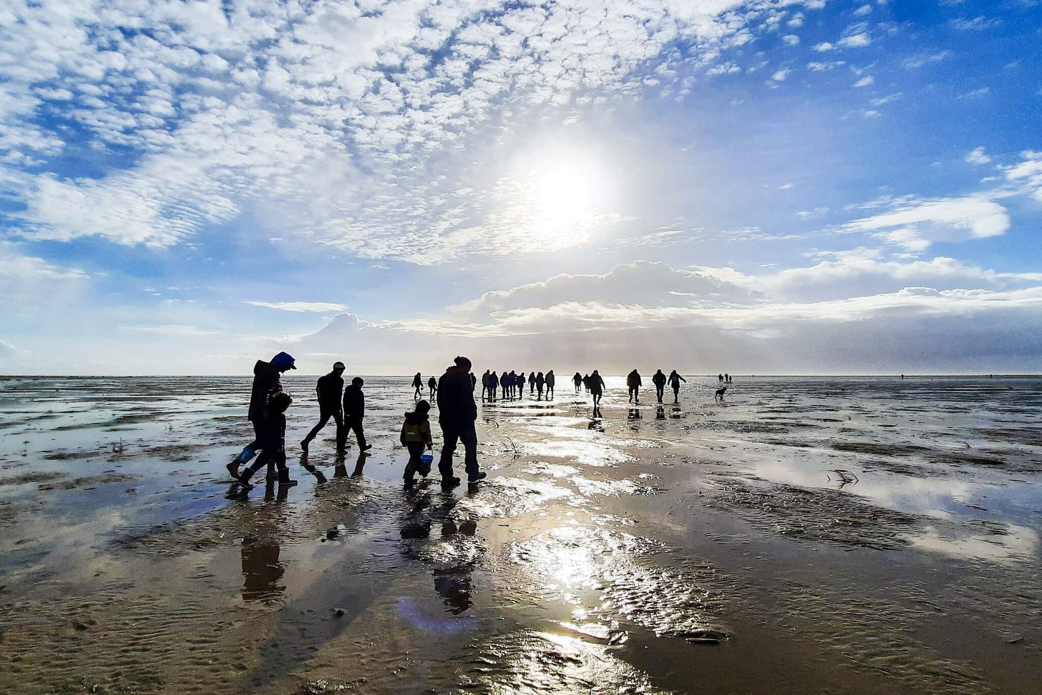 12 persoons vakantie huis in Fanø-By Traum - Waterzicht