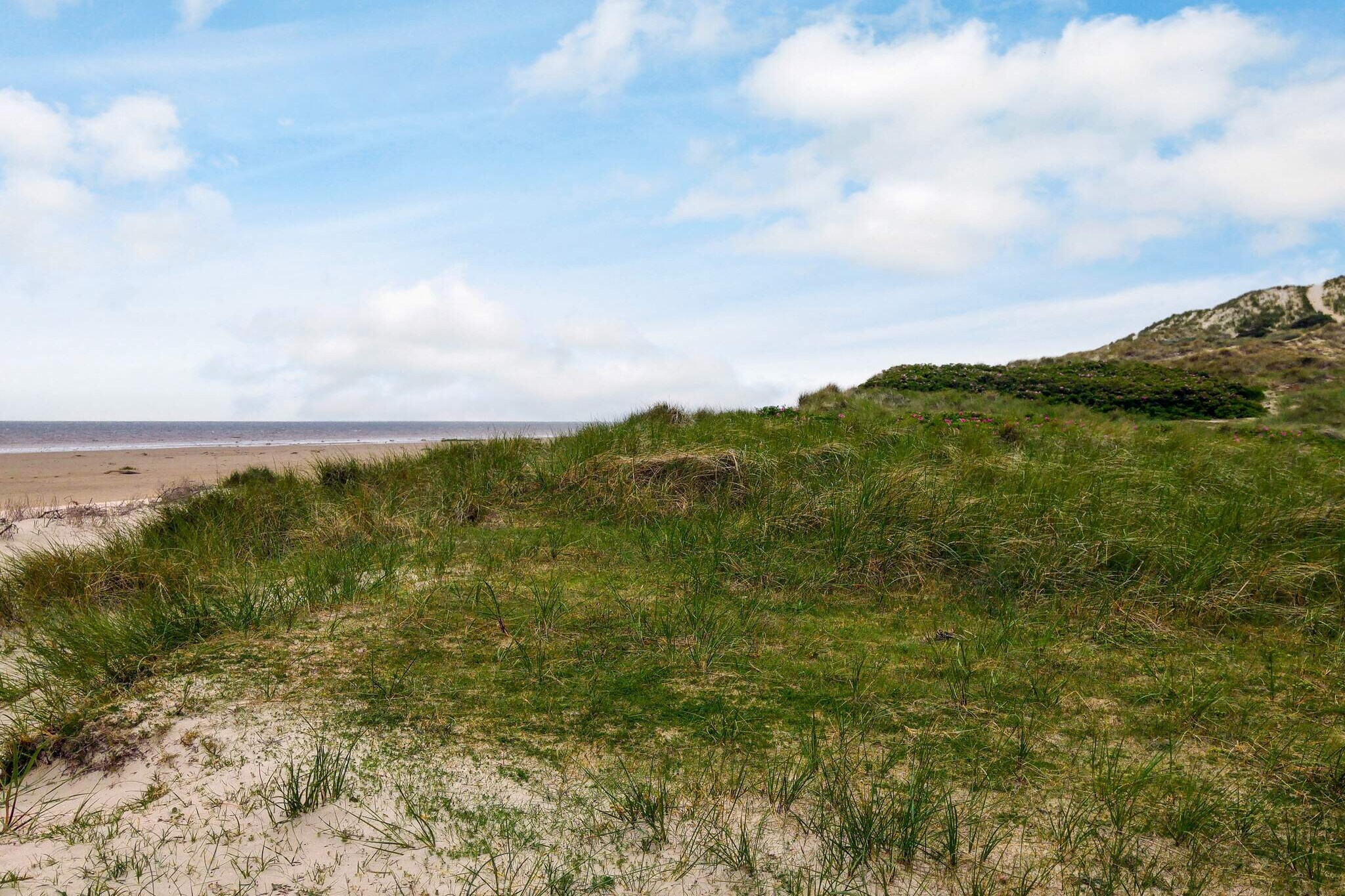 12 persoons vakantie huis in Fanø-By Traum - Waterzicht