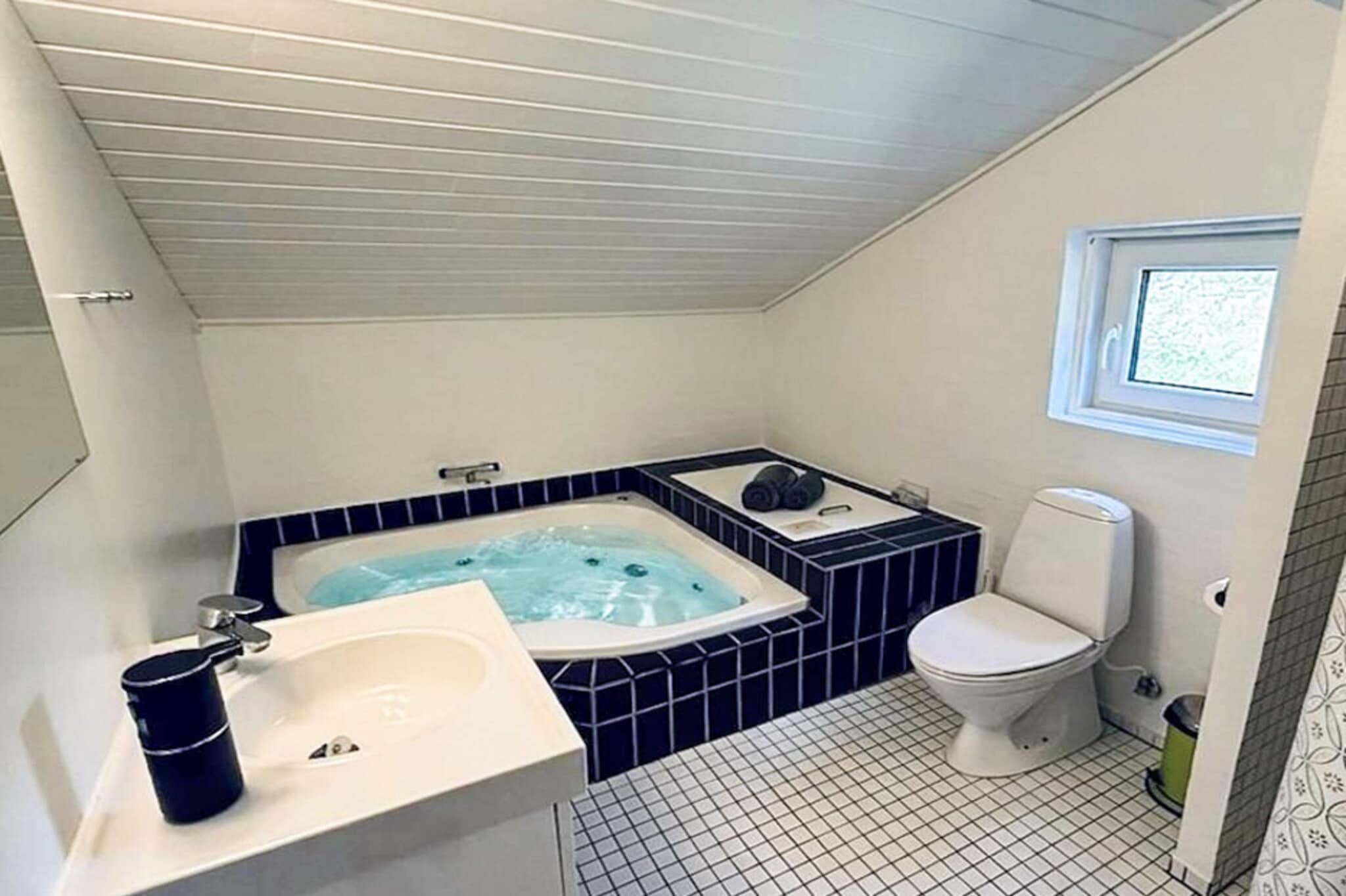 12 persoons vakantie huis in Fanø-By Traum - Spa